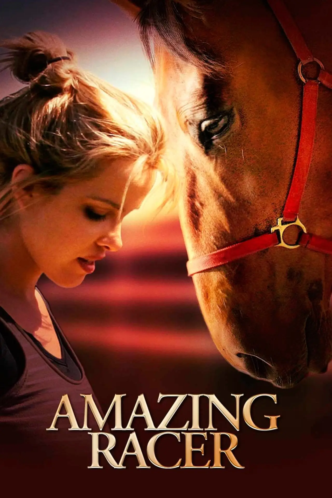 Movie poster "Amazing Racer"