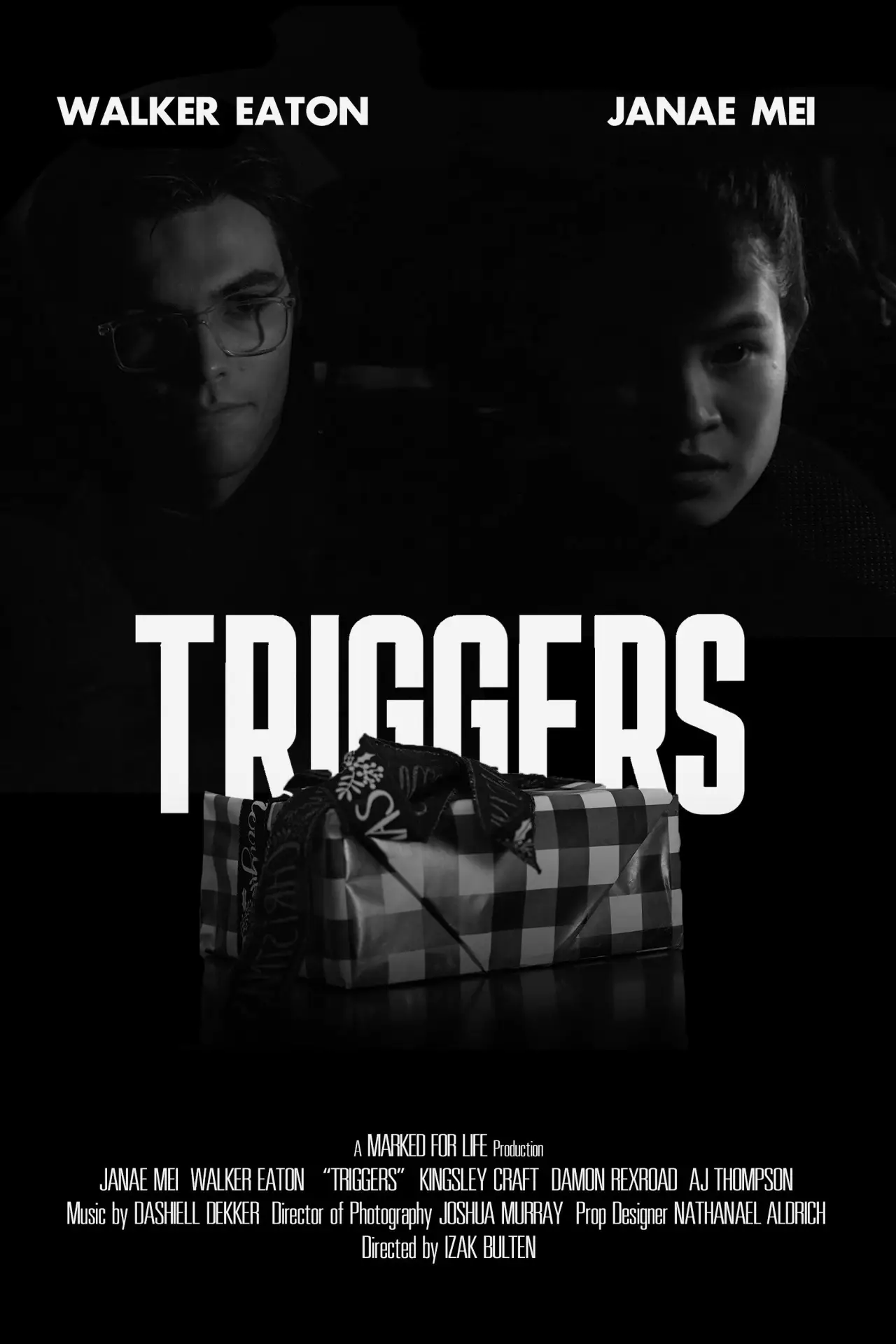Movie poster "Triggers"