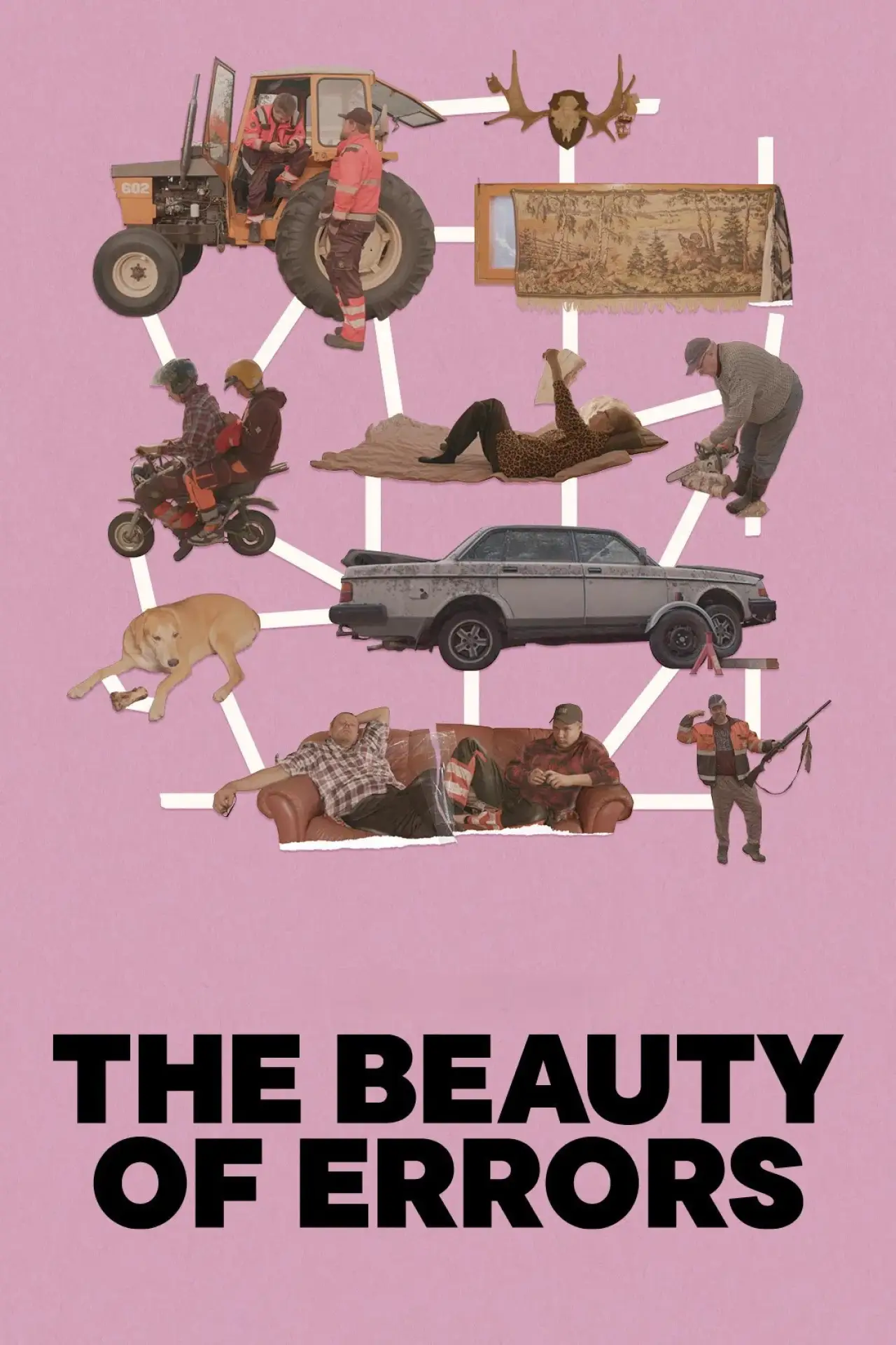 Movie poster "The Beauty of Errors"