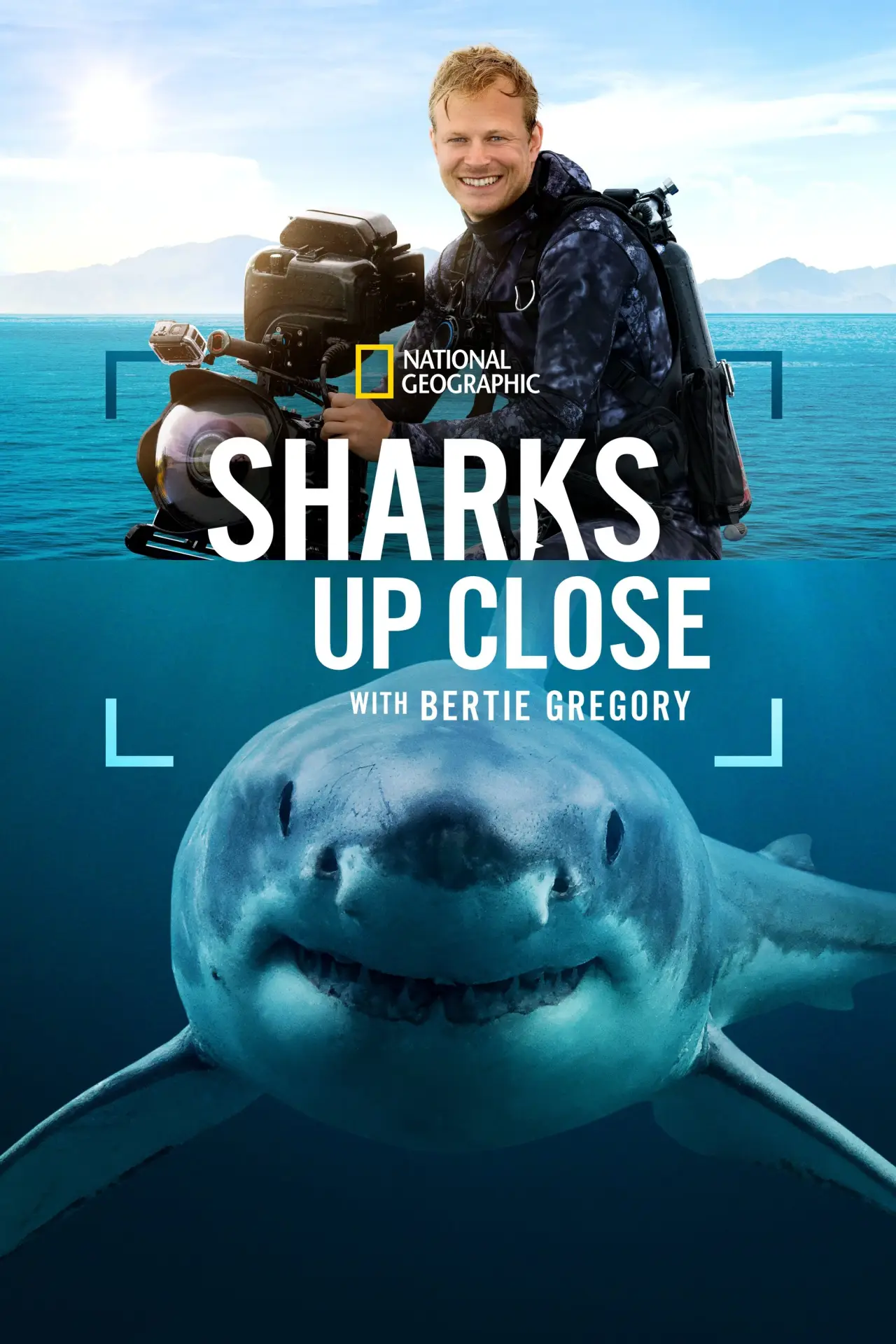 Movie poster "Sharks Up Close with Bertie Gregory"