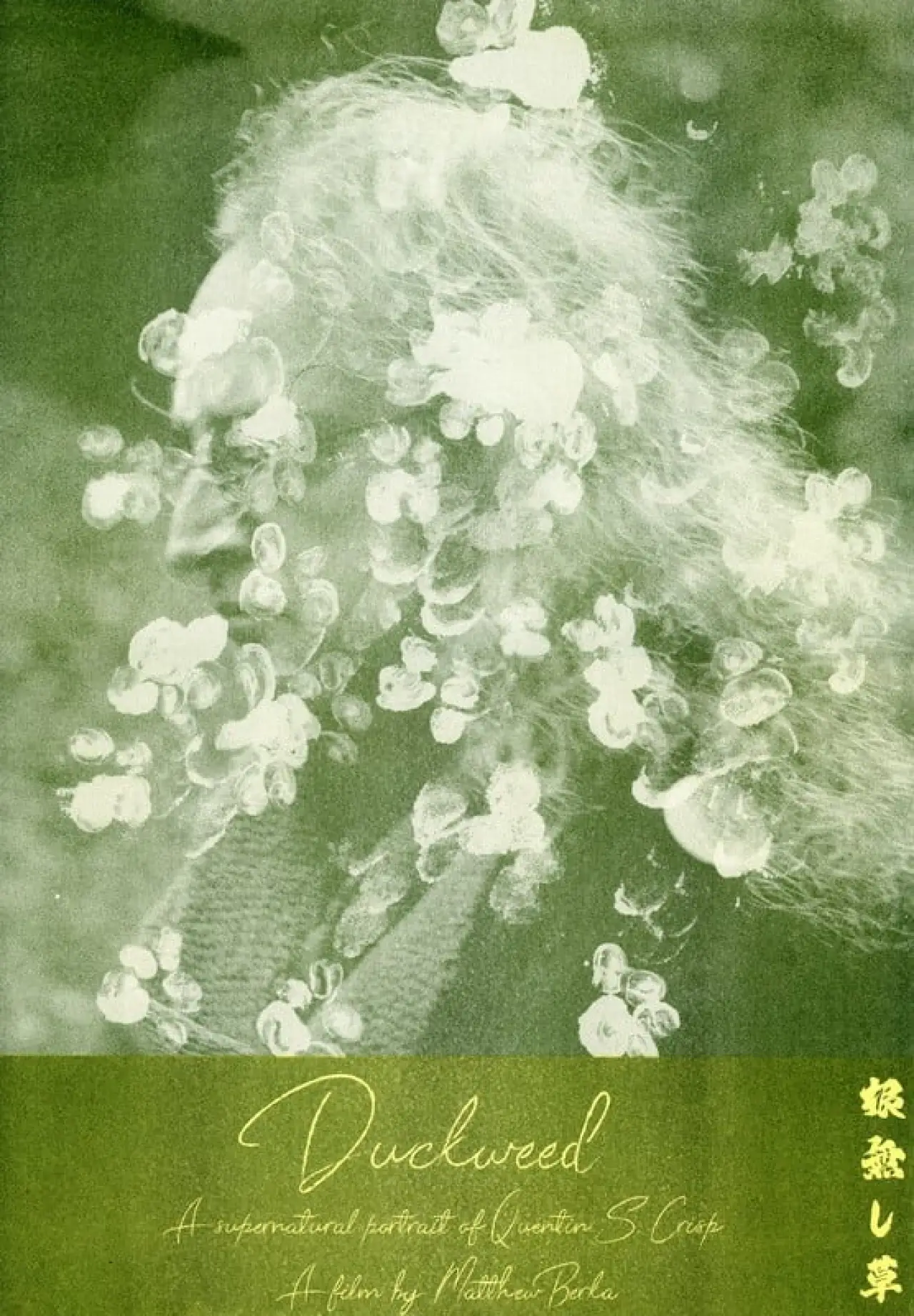 Movie poster "Duckweed"