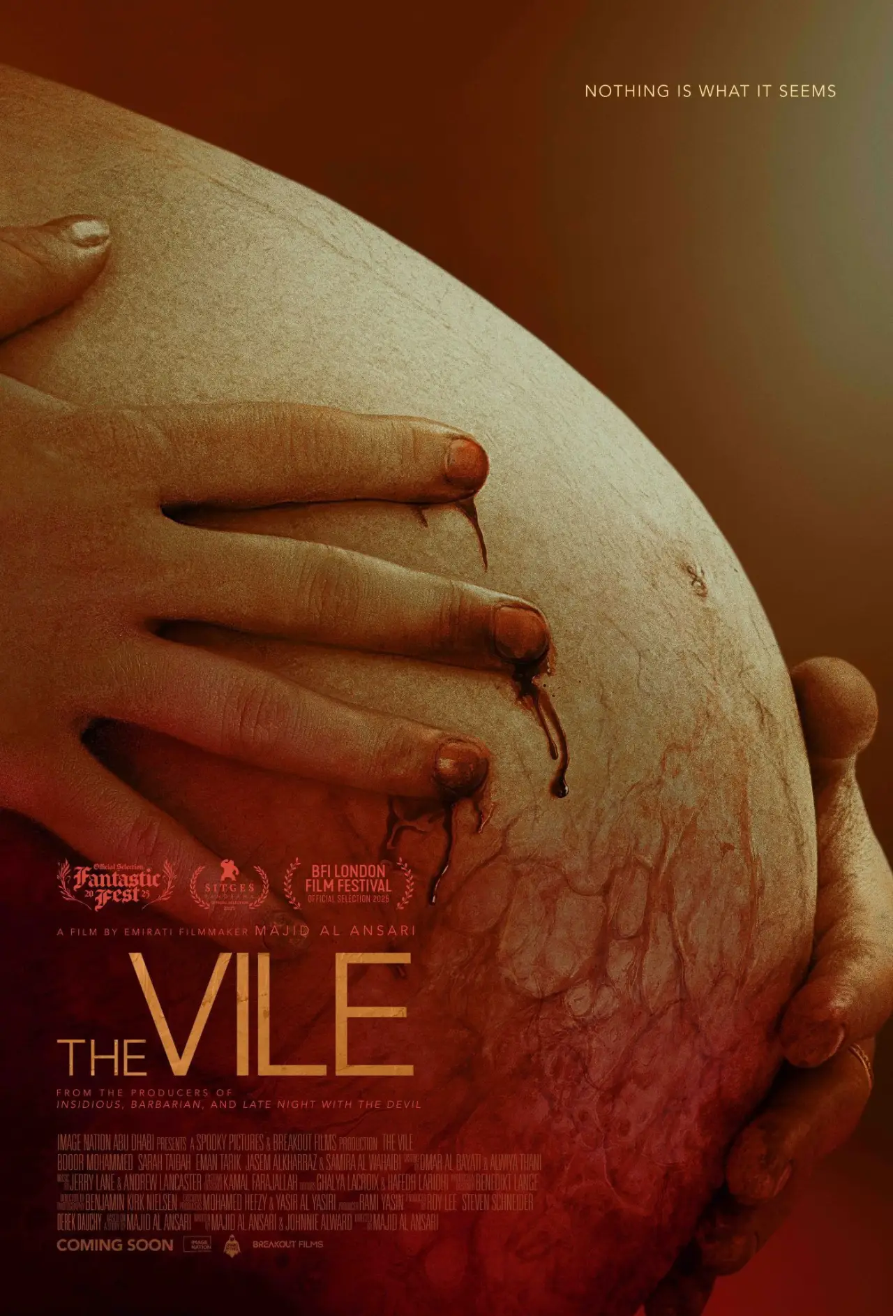 Movie poster "The Vile"