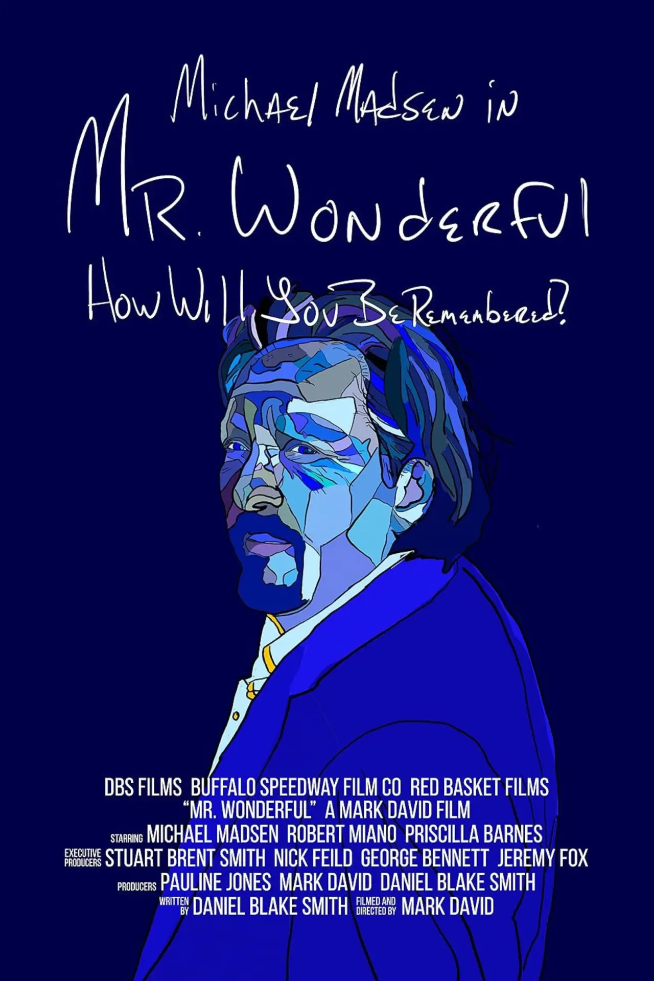 Movie poster "Mr. Wonderful"