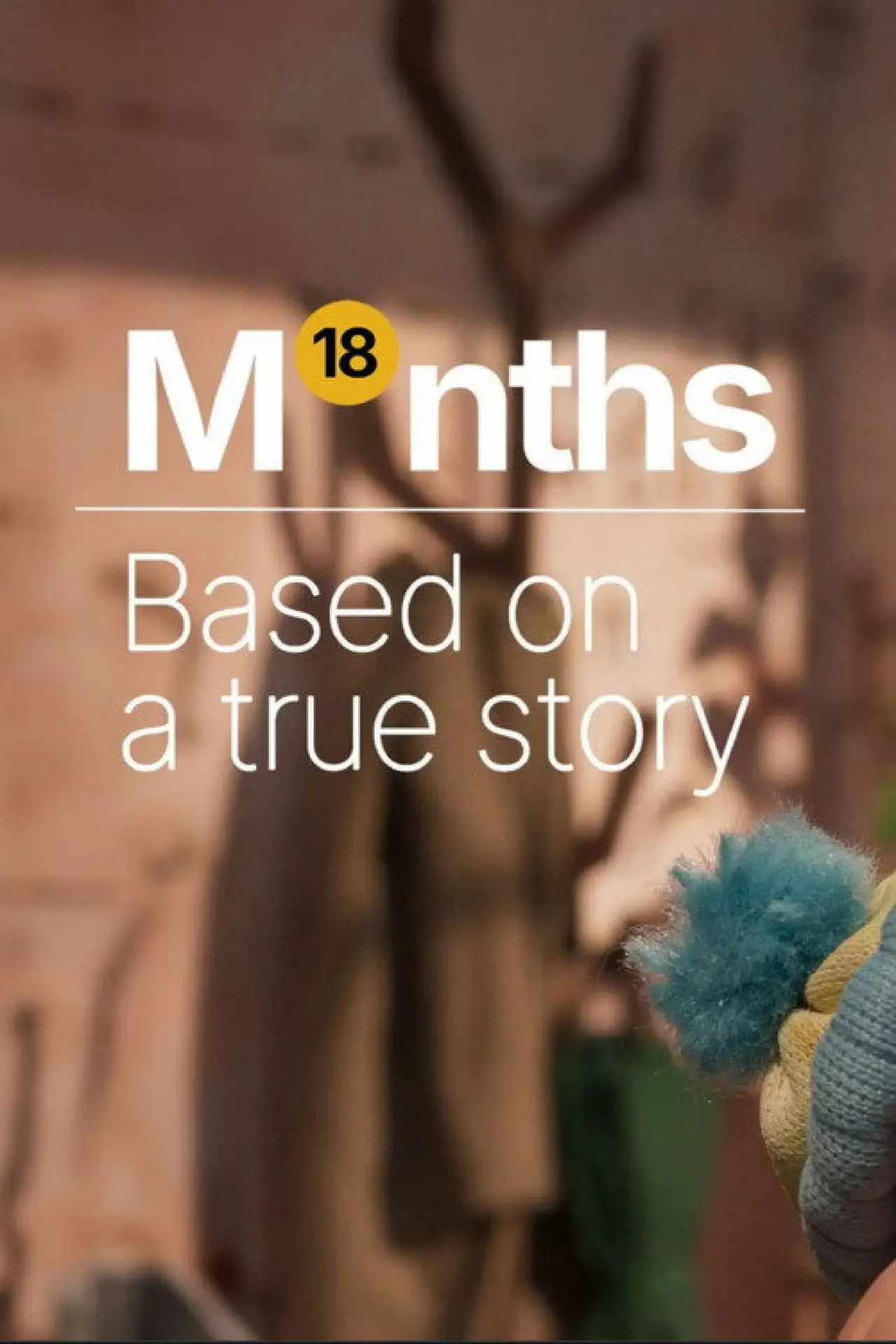 Movie poster "18 Months"