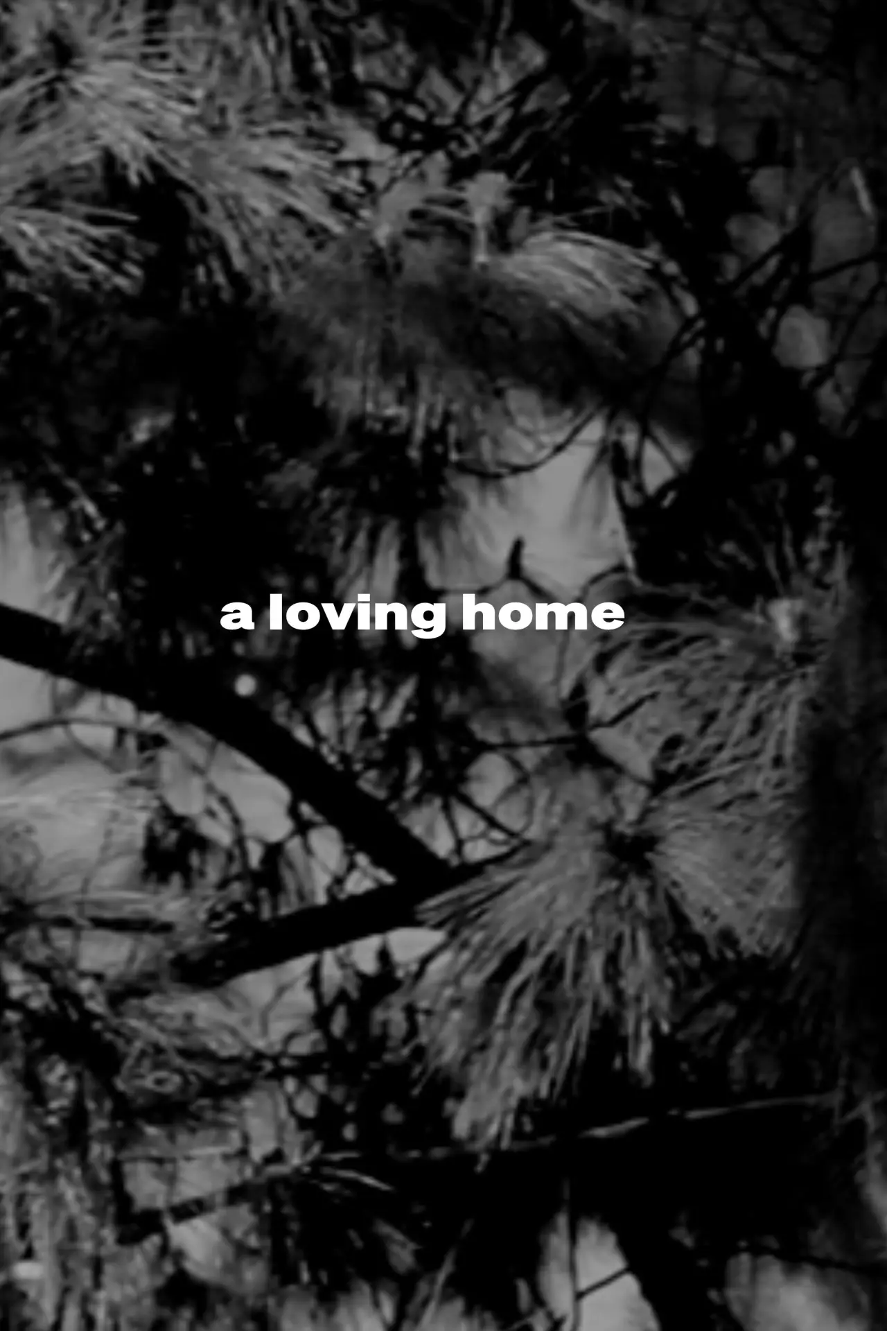 Movie poster "a loving home"