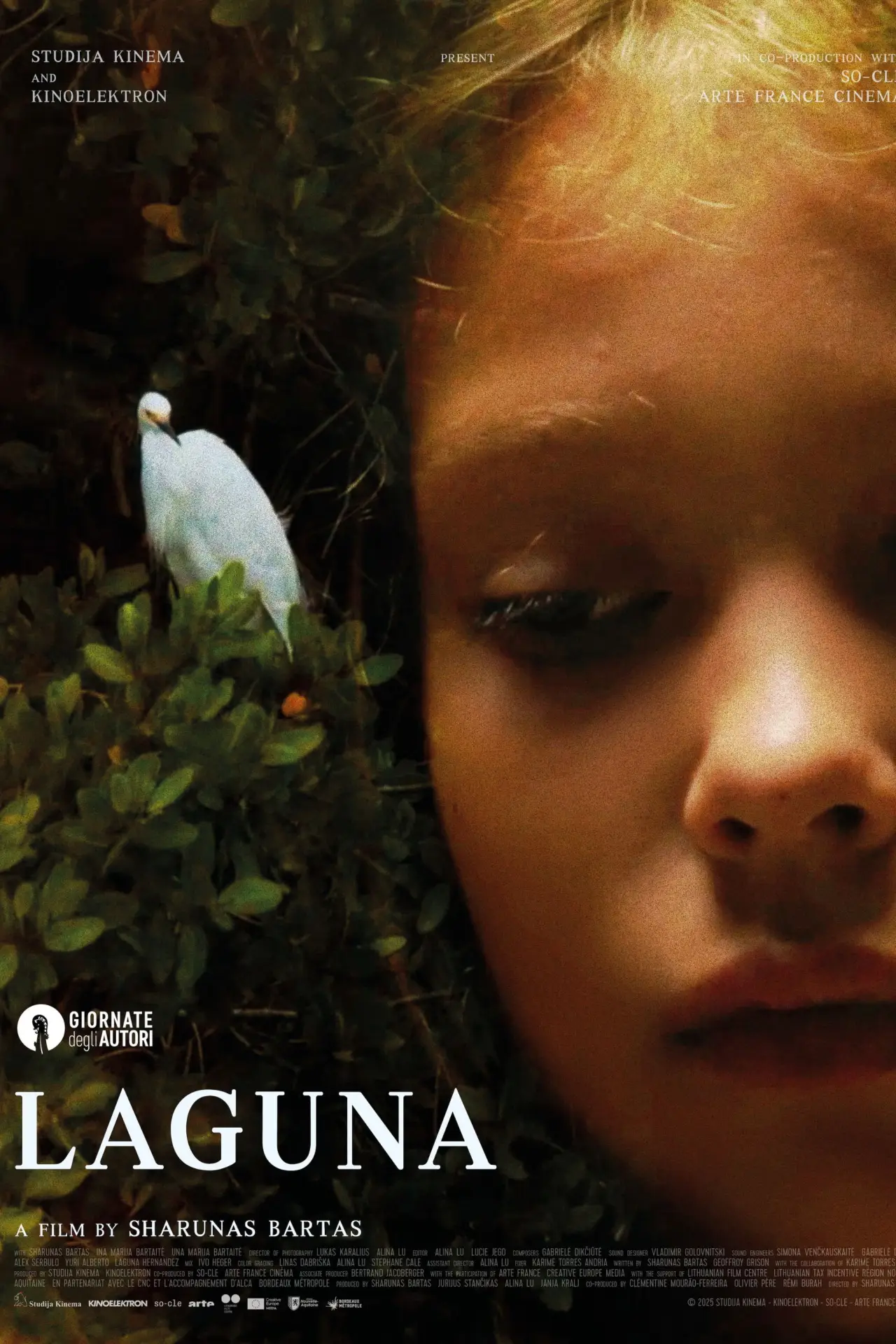 Movie poster "Laguna"