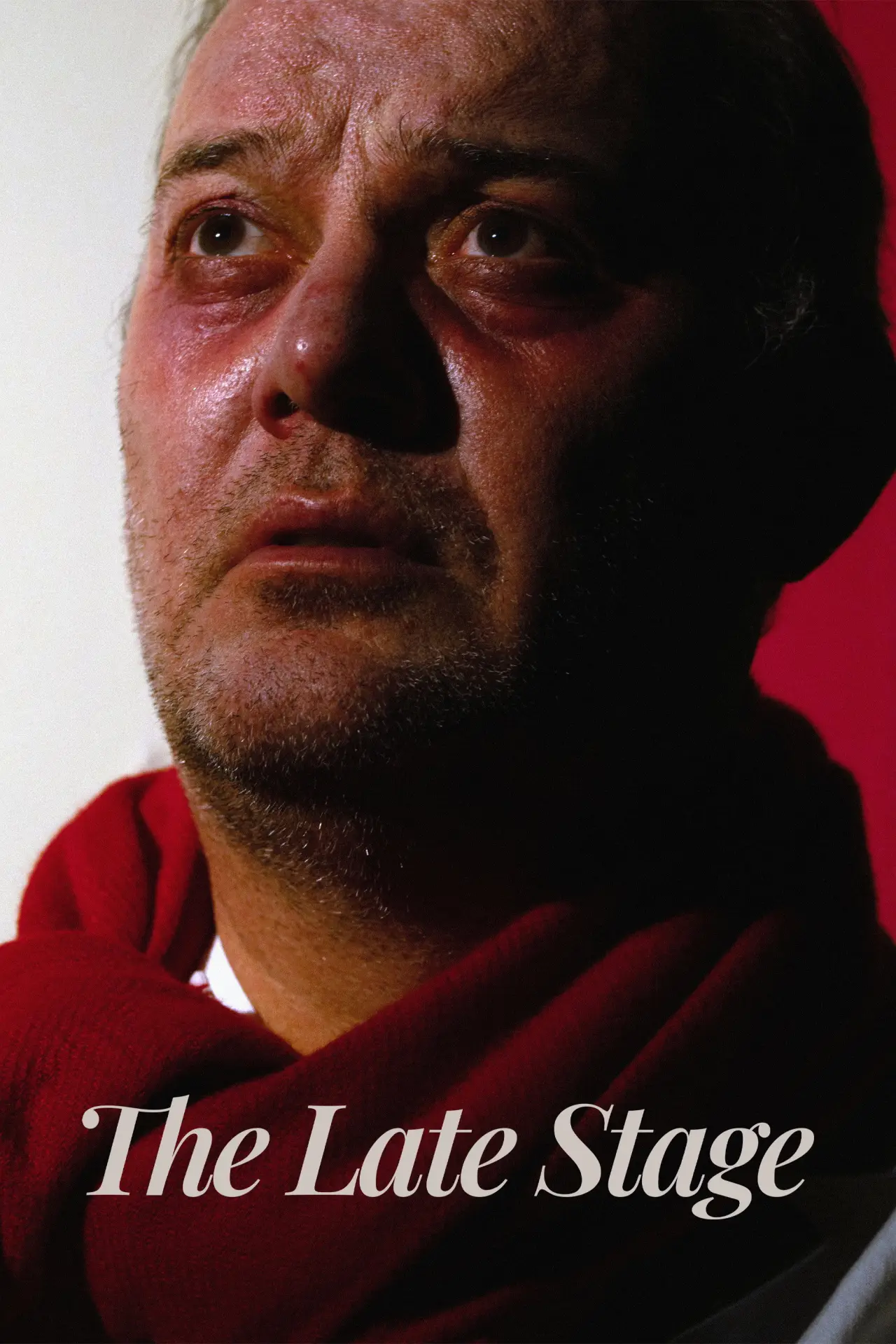 Movie poster "The Late Stage"