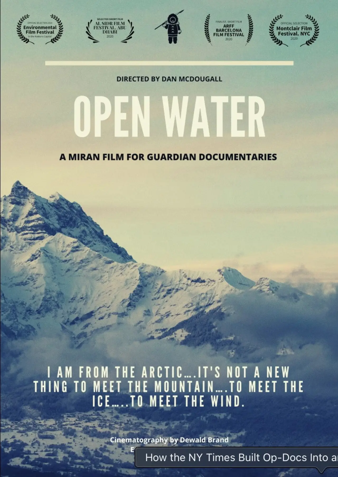Movie poster "Open Water"