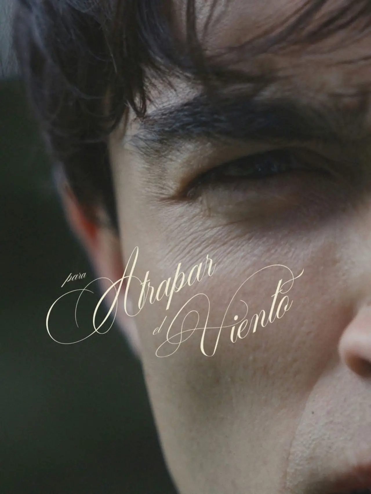 Movie poster "Para atrapar el viento"