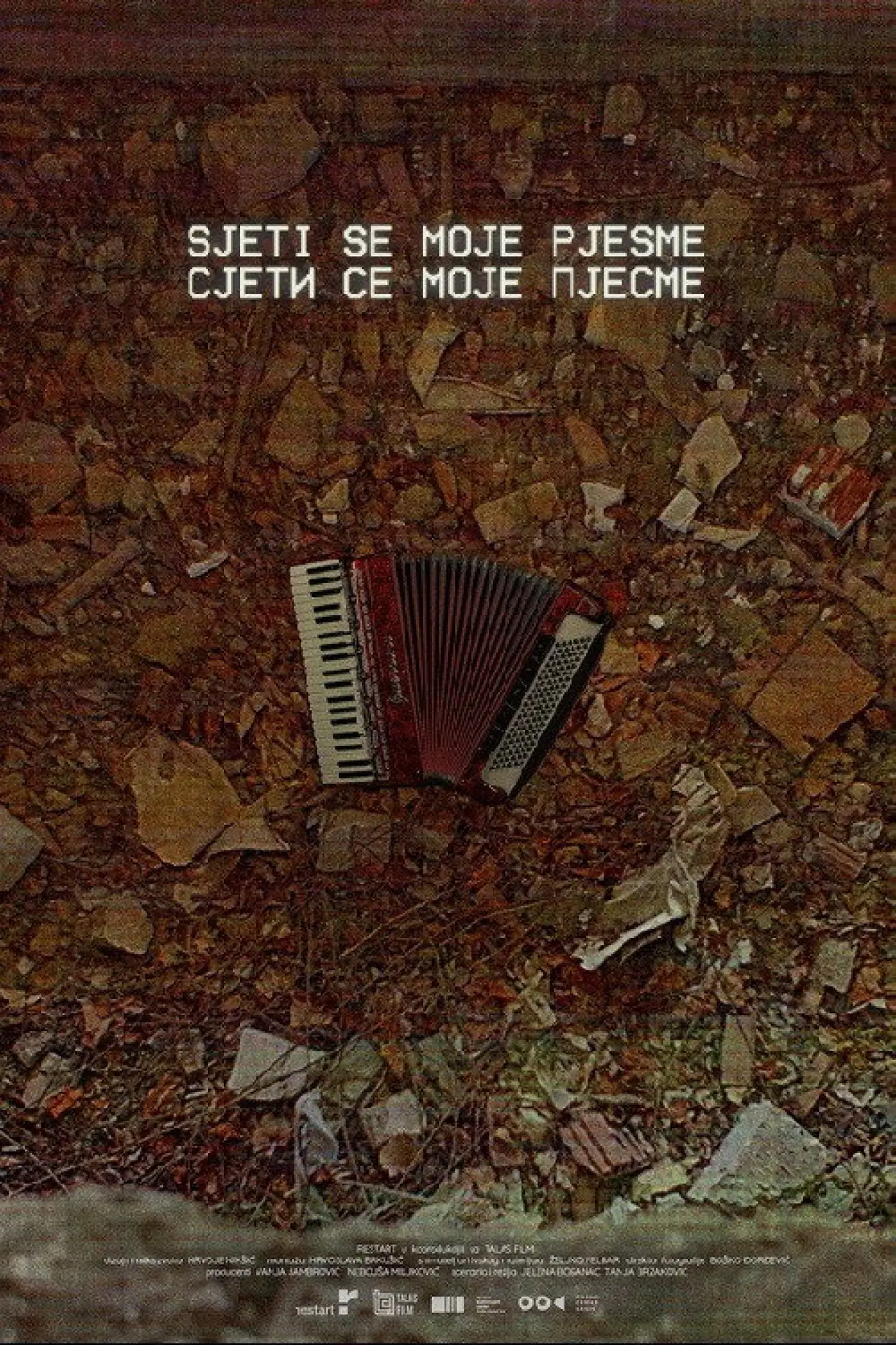 Movie poster "Remember My Song"