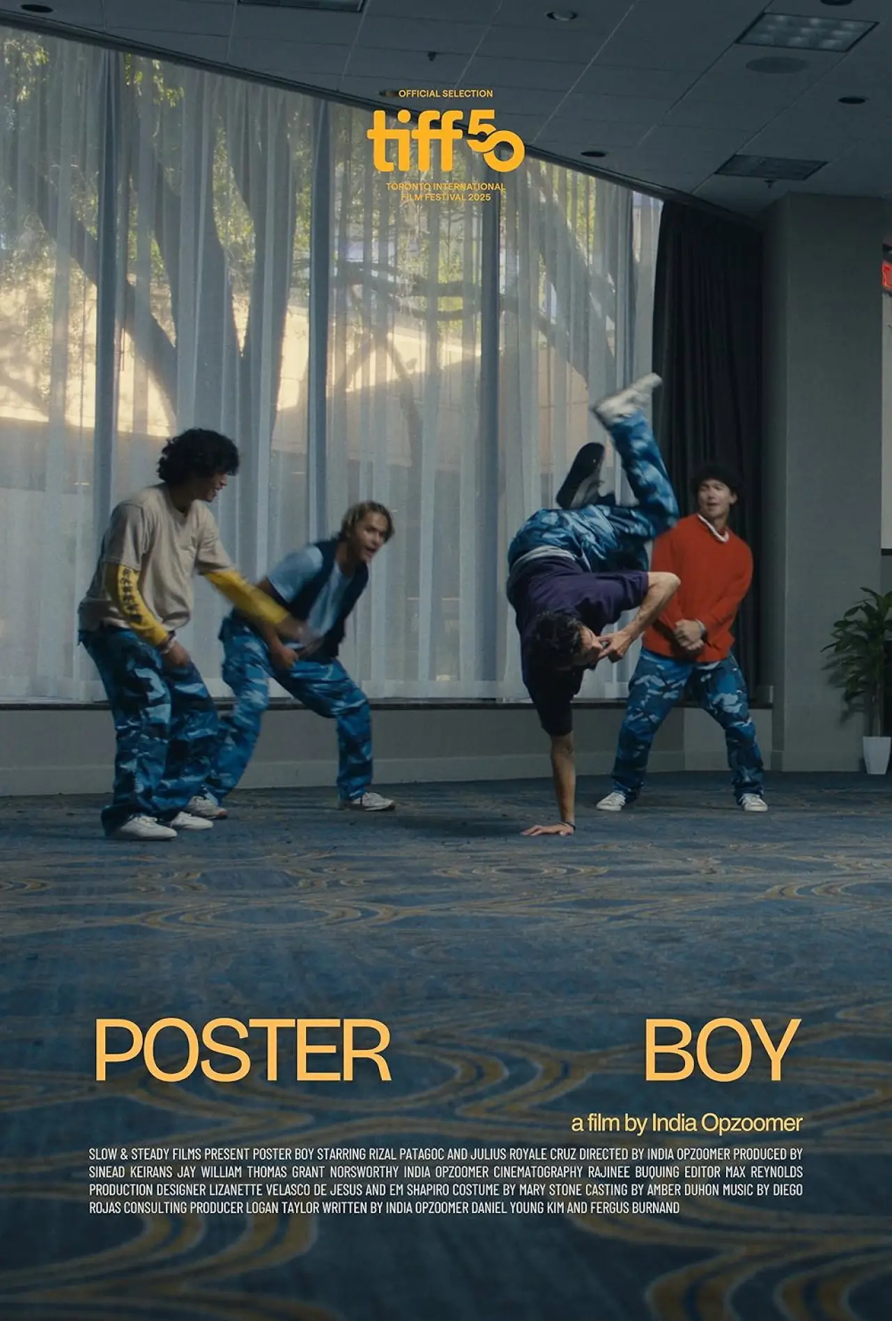 Movie poster "Poster Boy"