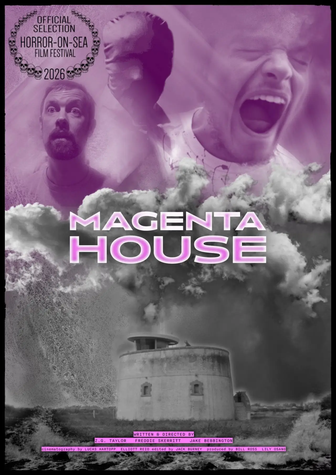 Movie poster "Magenta House"