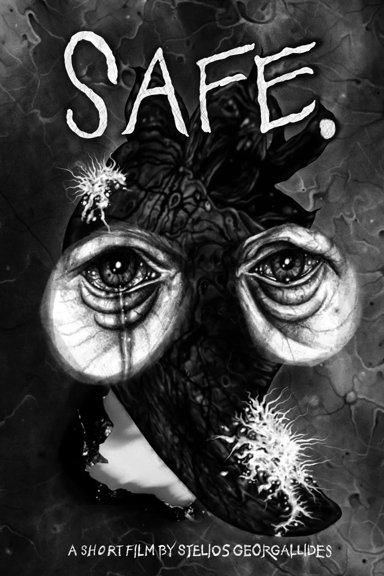 Movie poster "Safe."