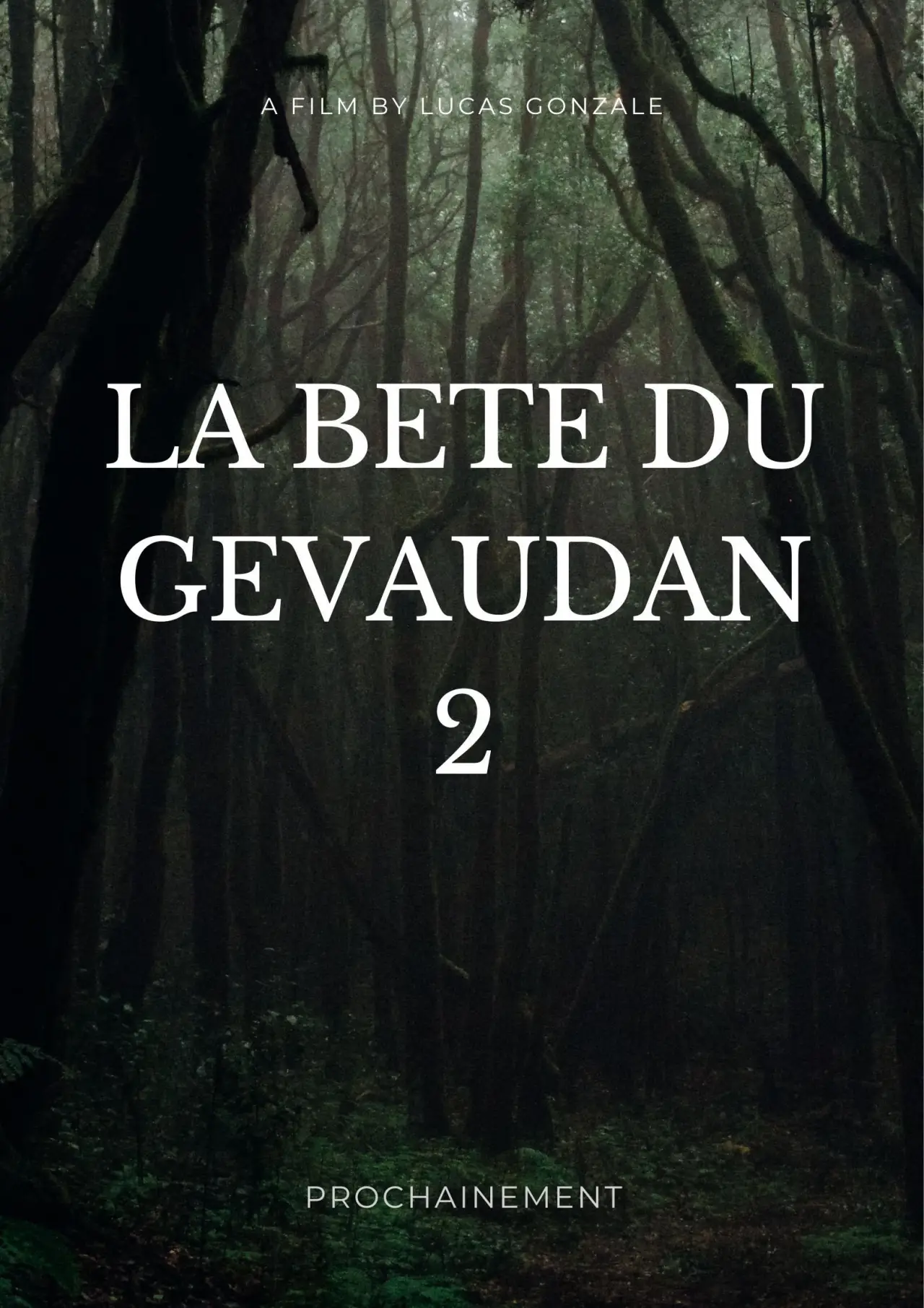 Movie poster "The Beast of Gevautwo"