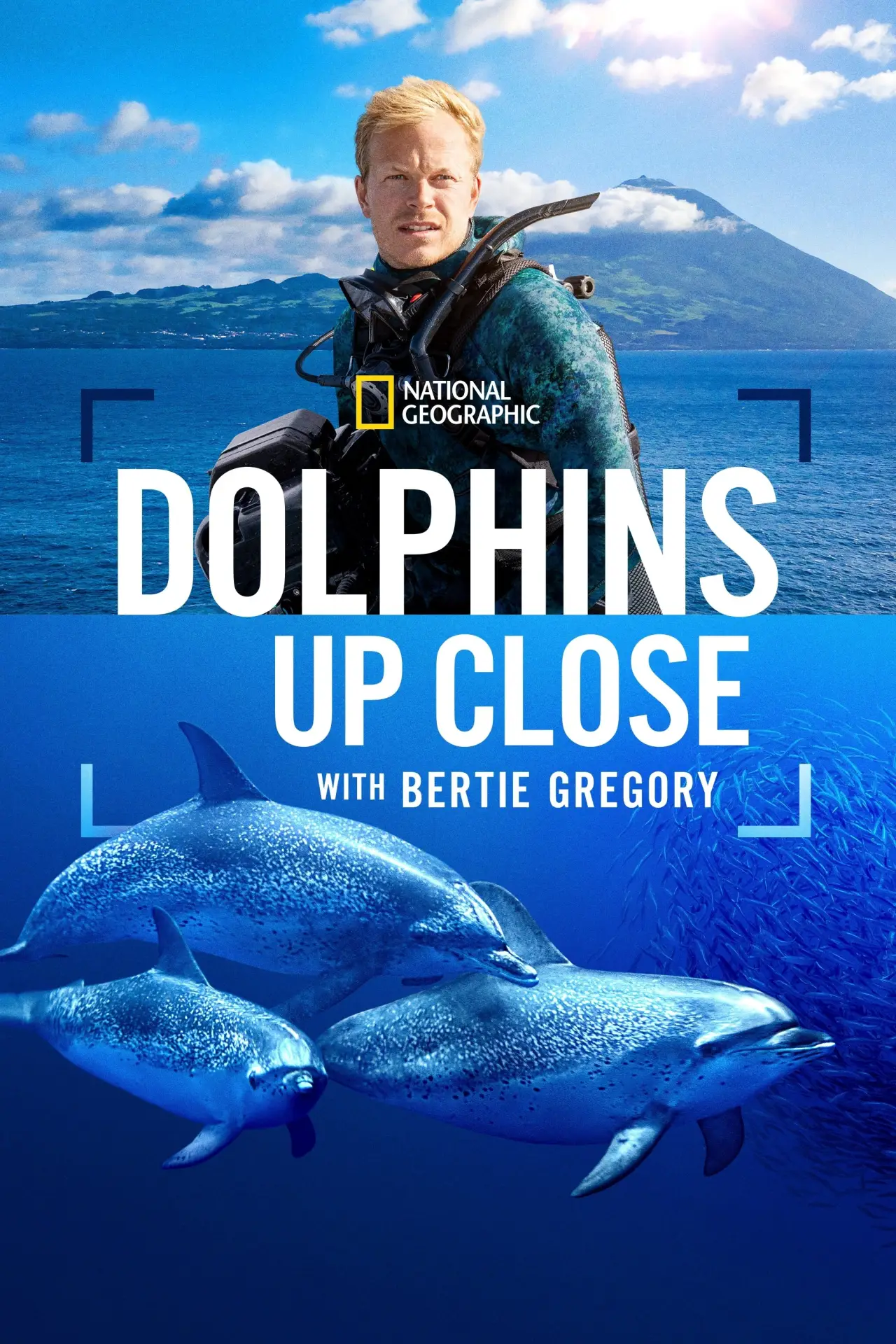 Movie poster "Dolphins Up Close with Bertie Gregory"