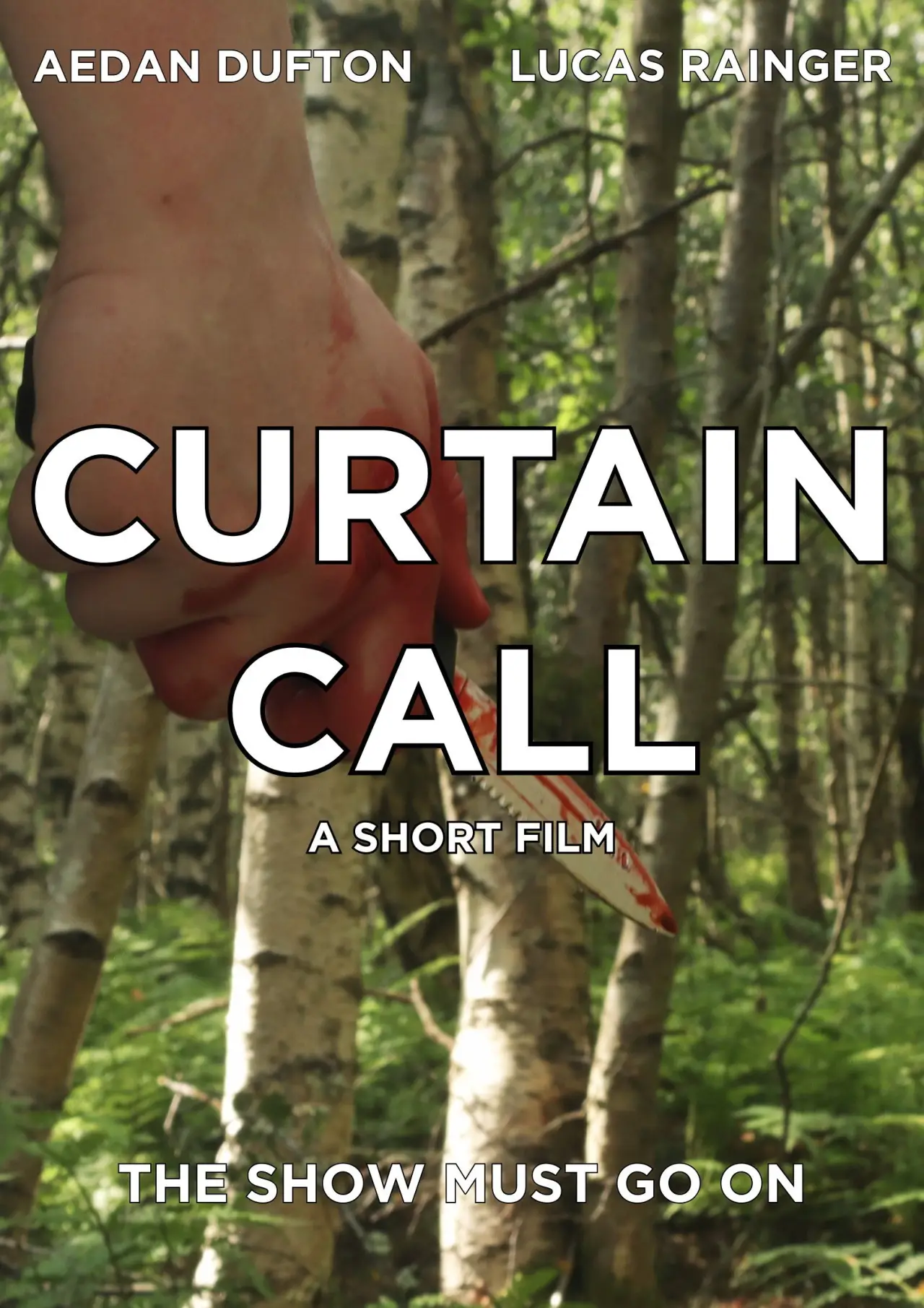 Movie poster "Curtain Call"