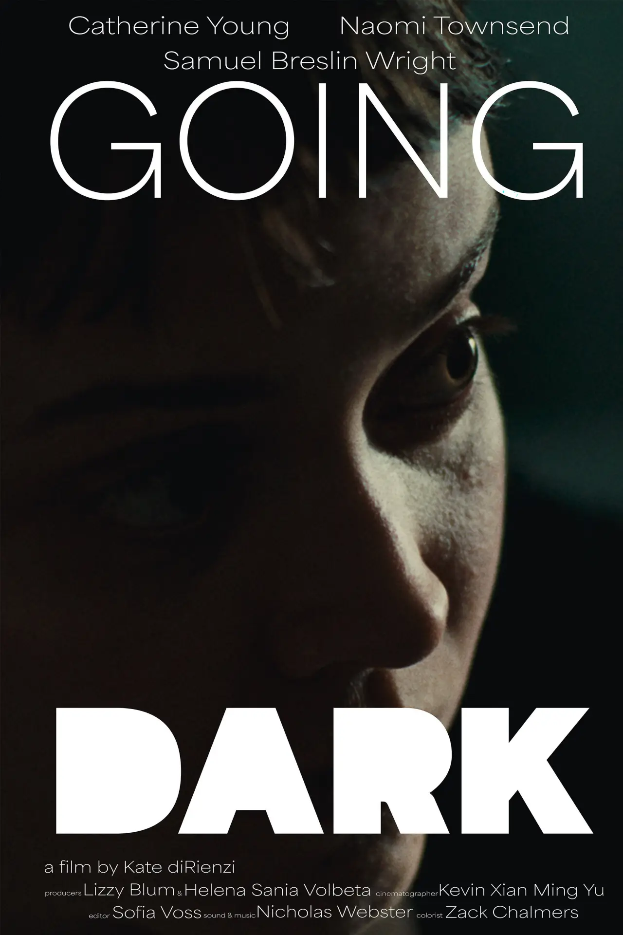 Movie poster "Going Dark"