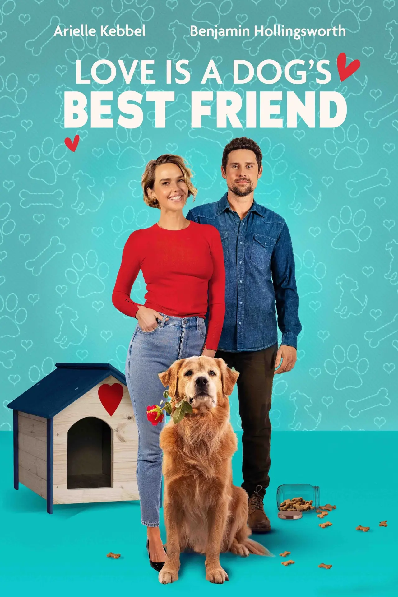 Movie poster "Love Is a Dog