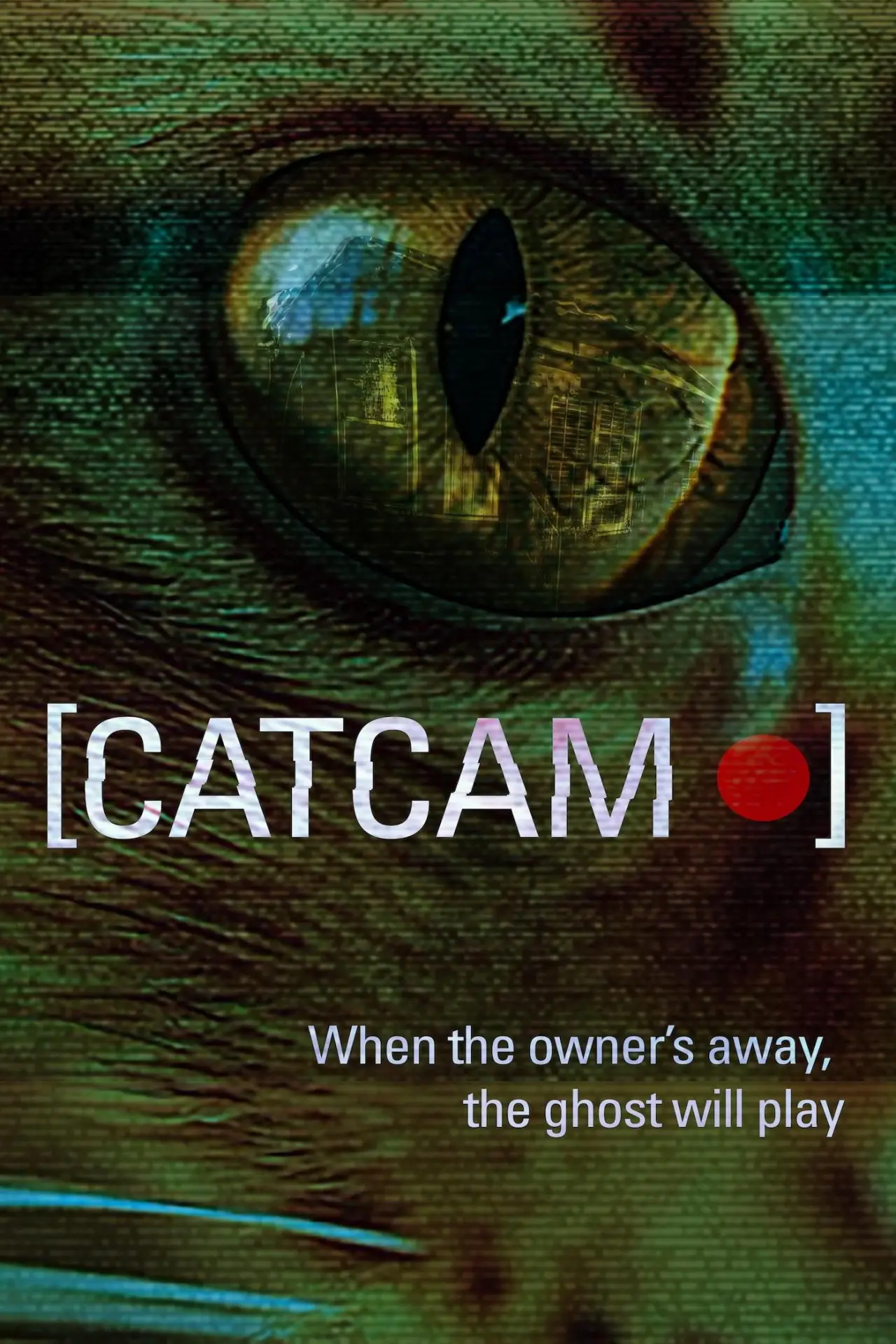 Movie poster "Cat Cam"