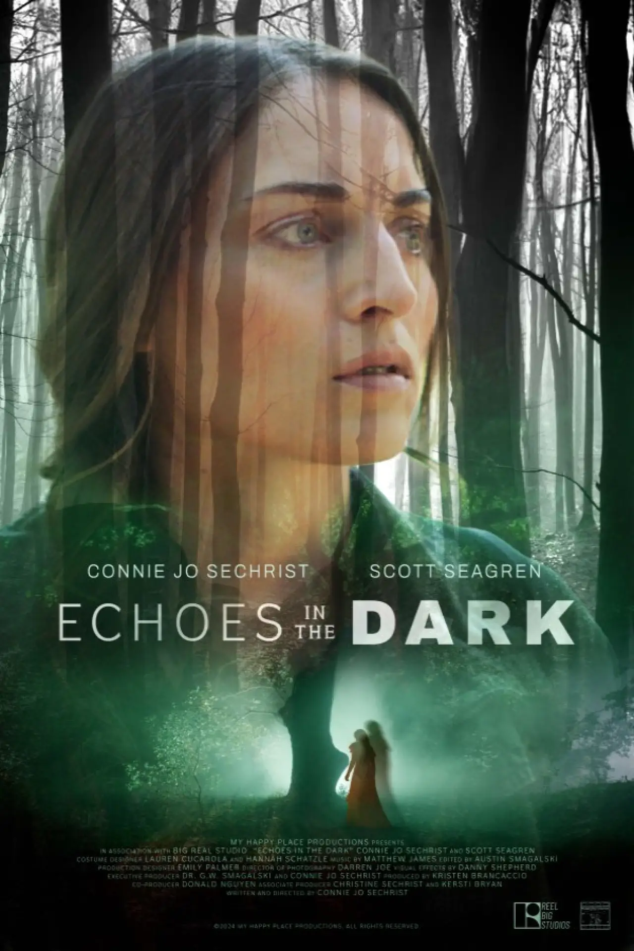 Movie poster "Echoes in the Dark"
