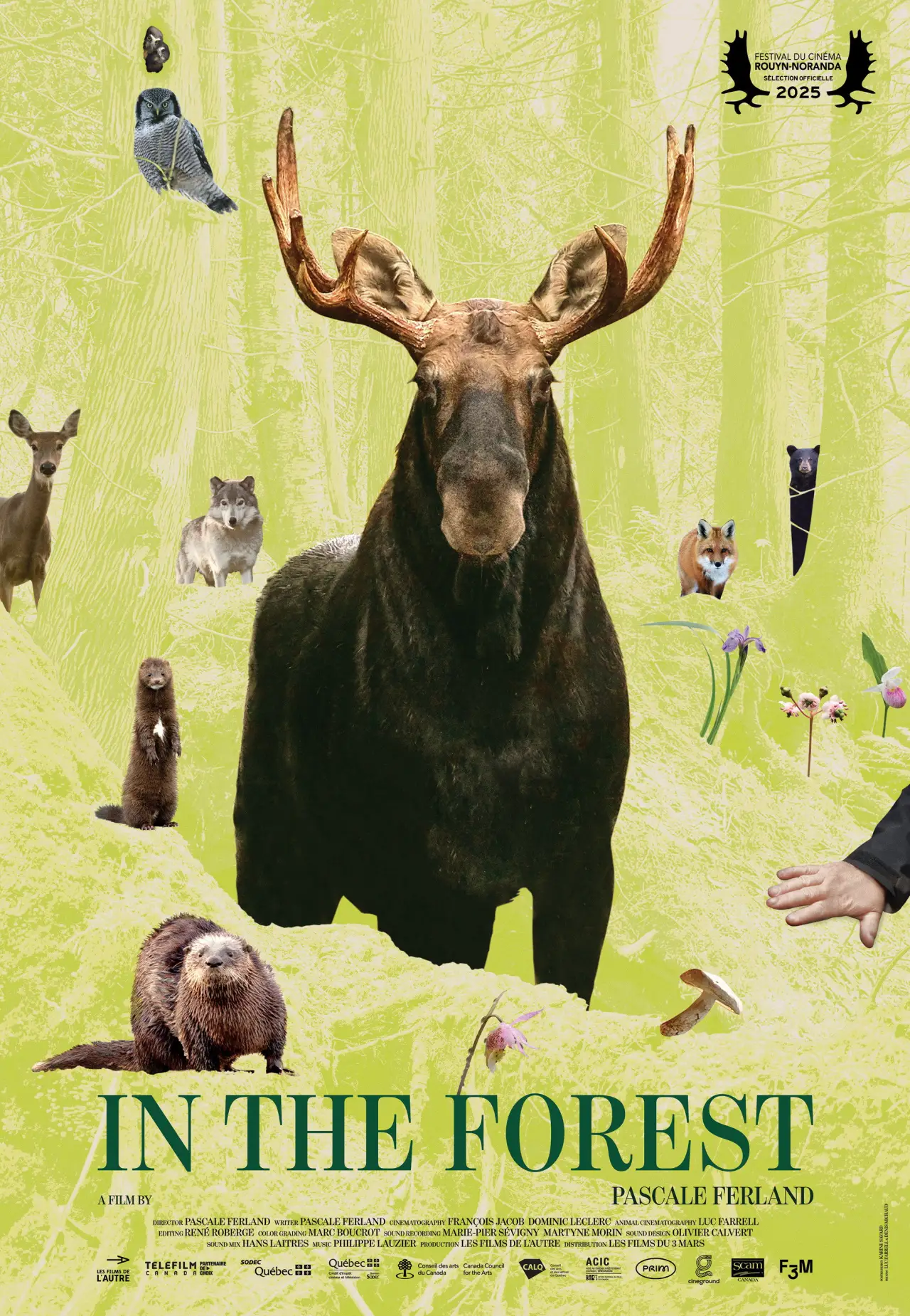 Movie poster "In the Forest"