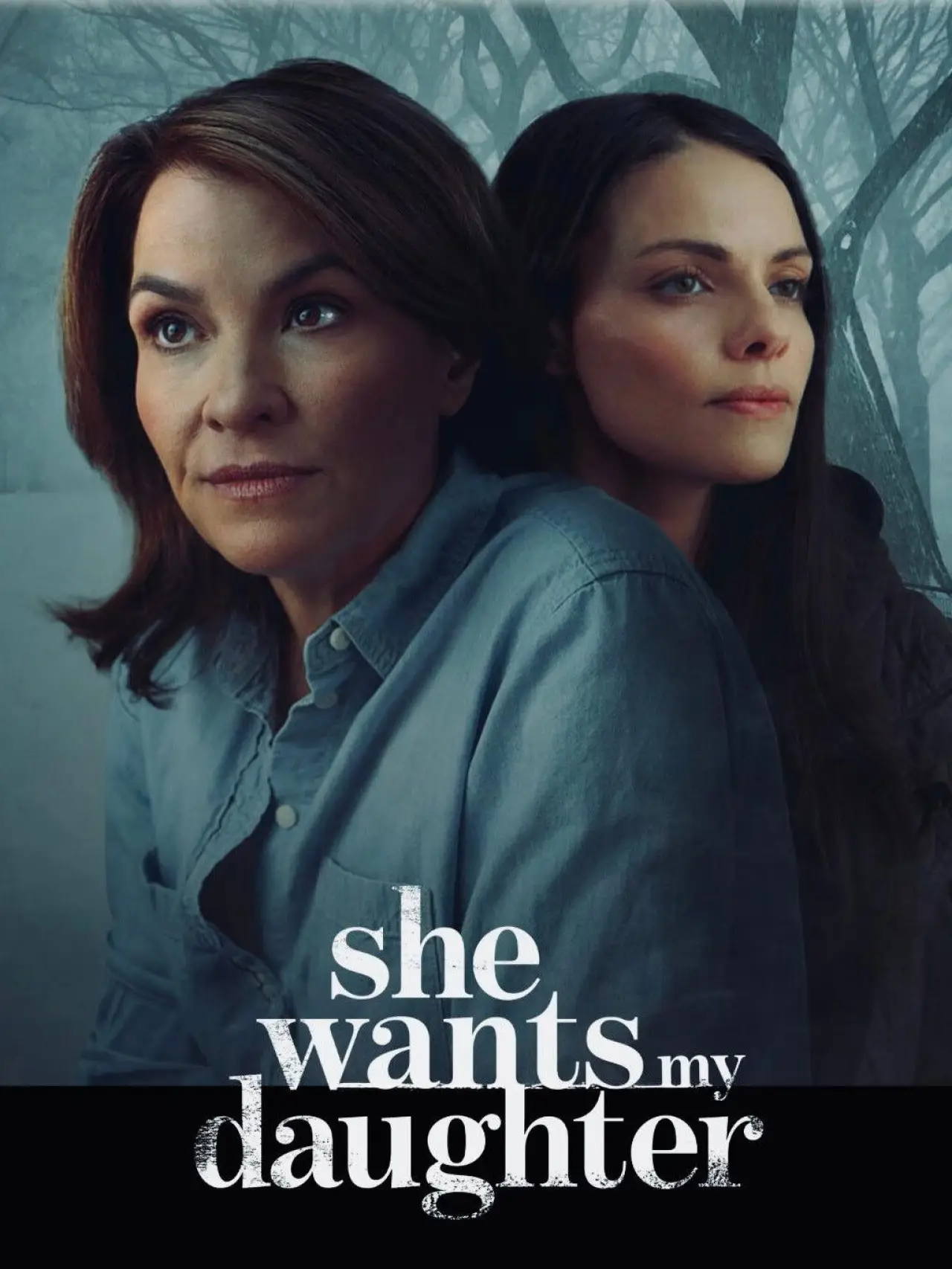 Movie poster "She Wants My Daughter"