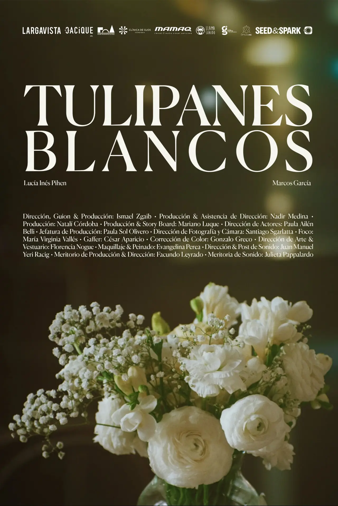 Movie poster "White tulips"