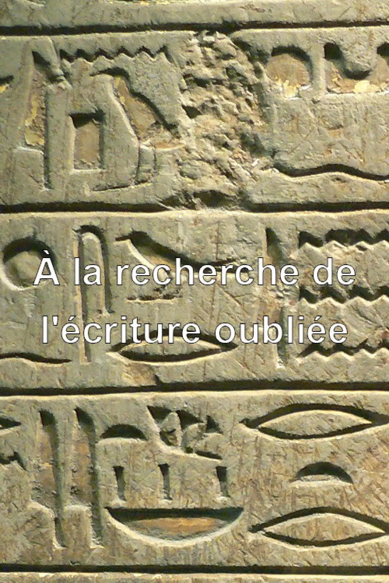 Movie poster "À la recherche de l