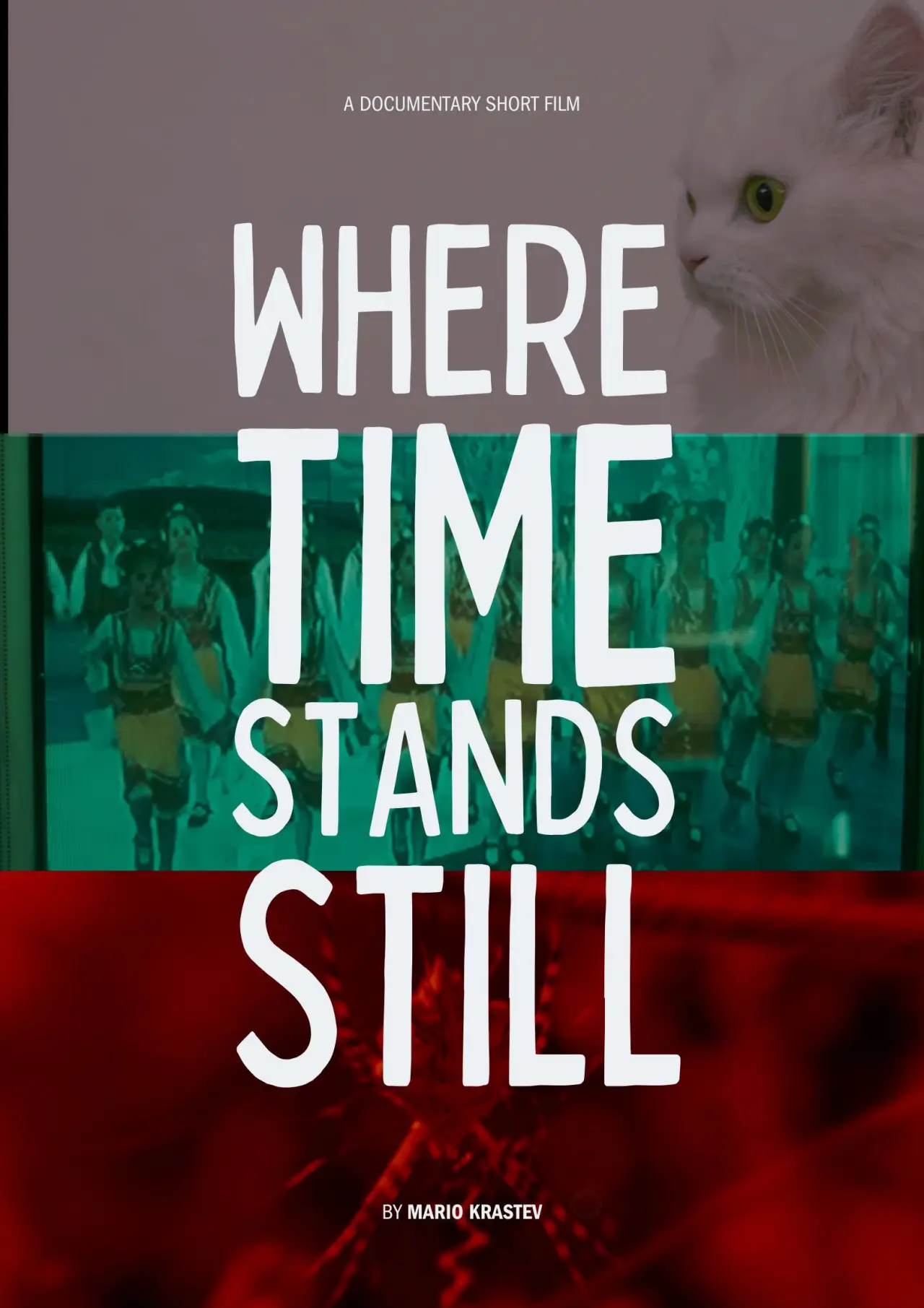 Movie poster "Where Time Stands Still"