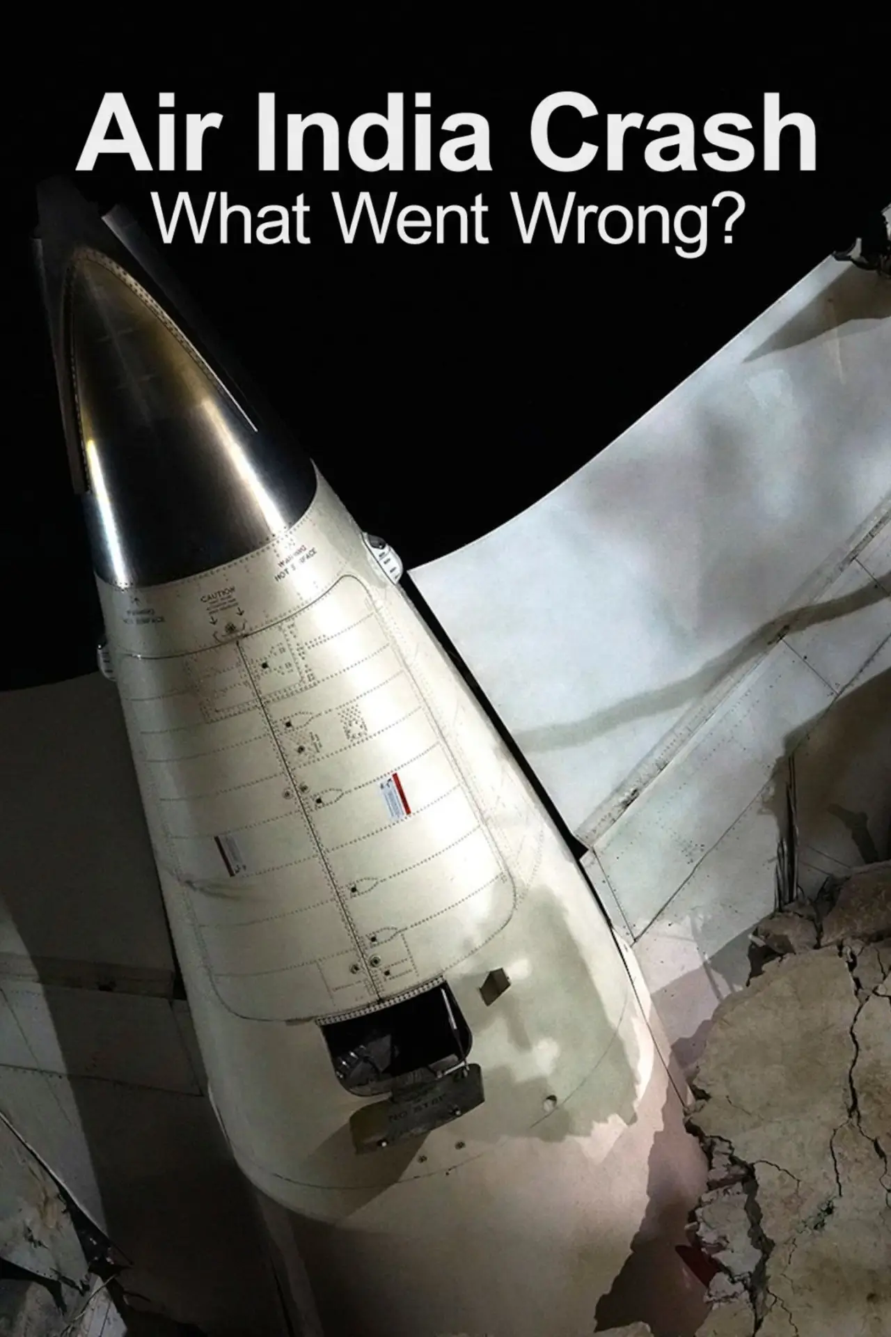 Movie poster "Air India Crash: What Went Wrong?"