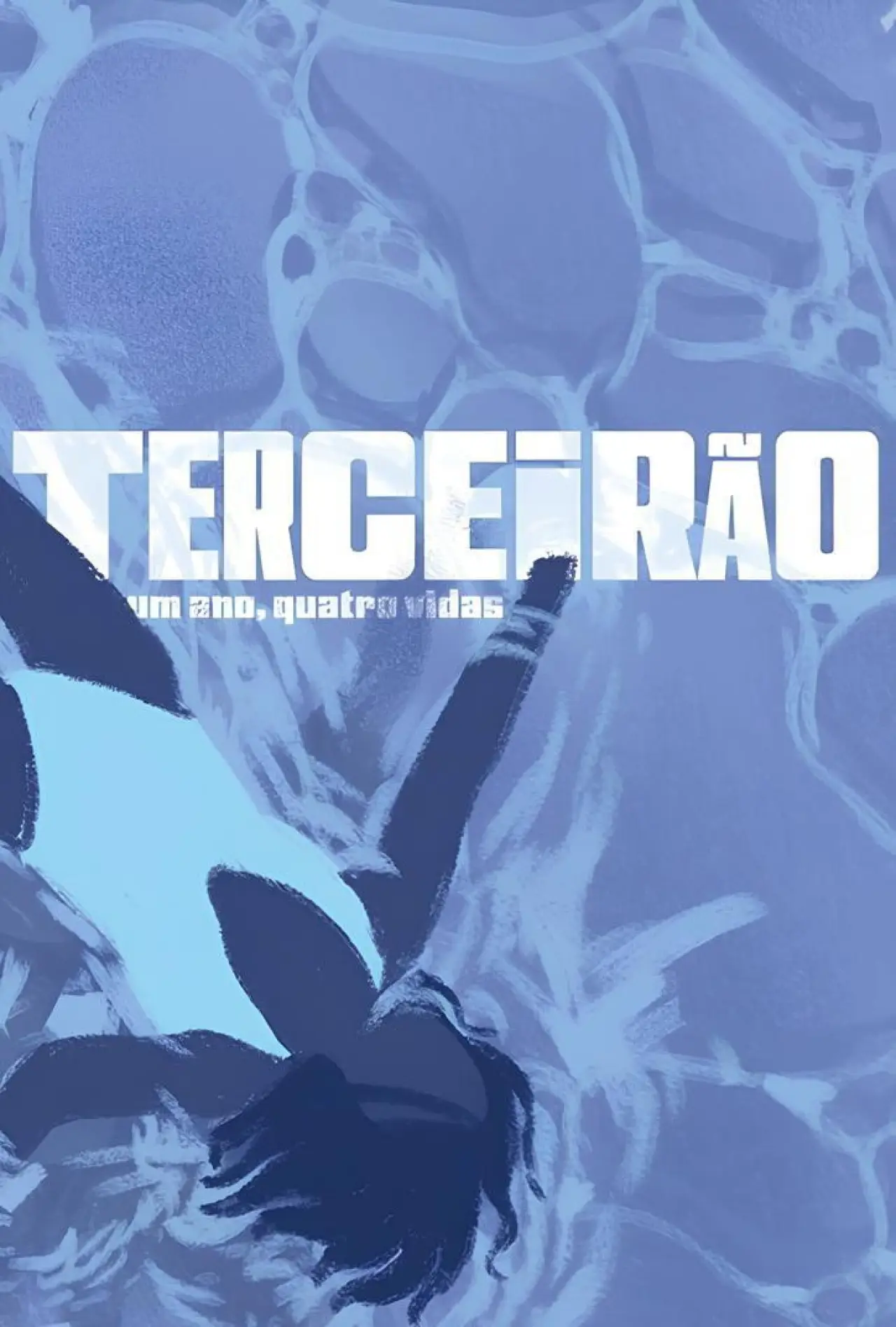 Movie poster "Terceirão - Um Ano, Quatro Vidas"