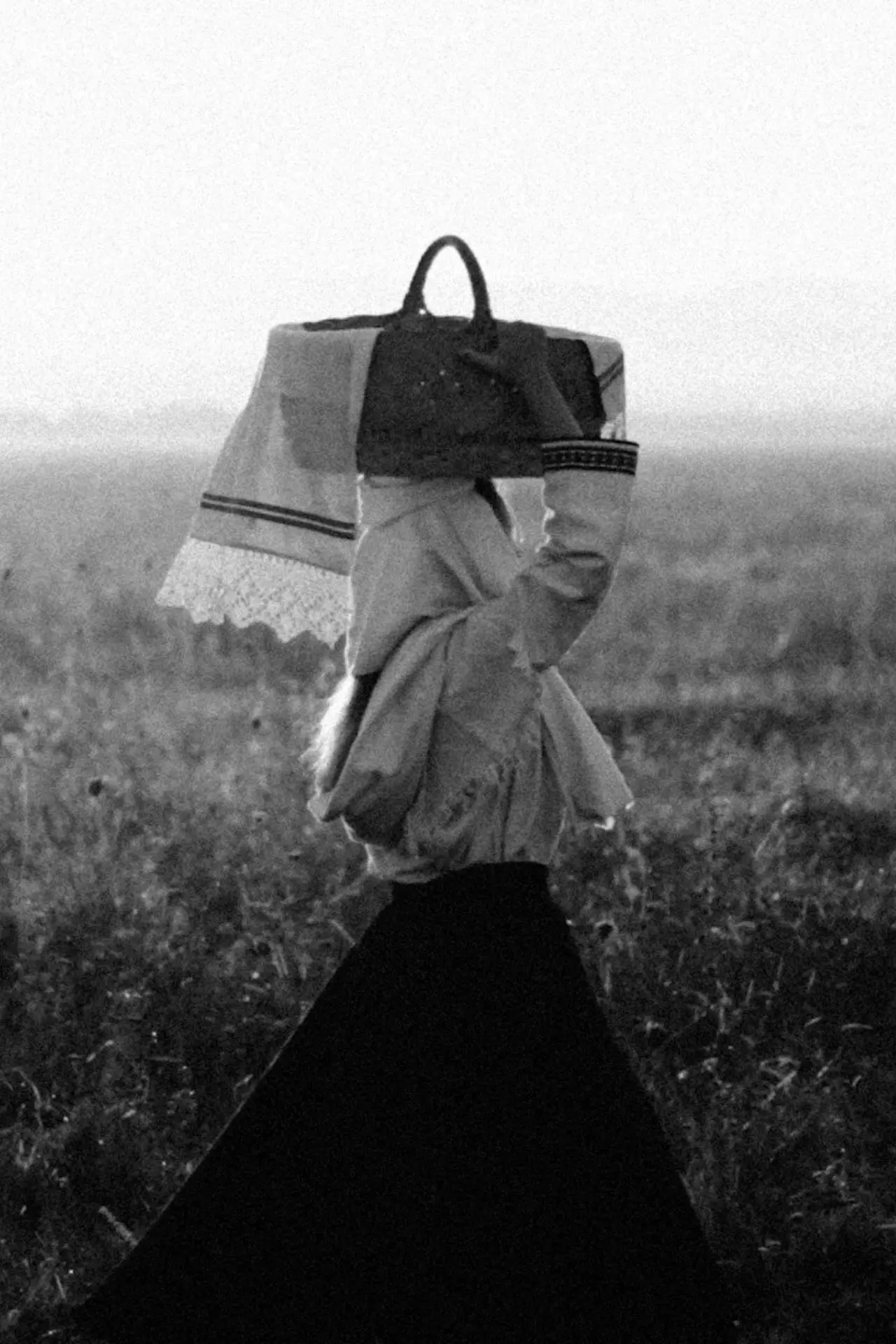 Movie poster "Doina"