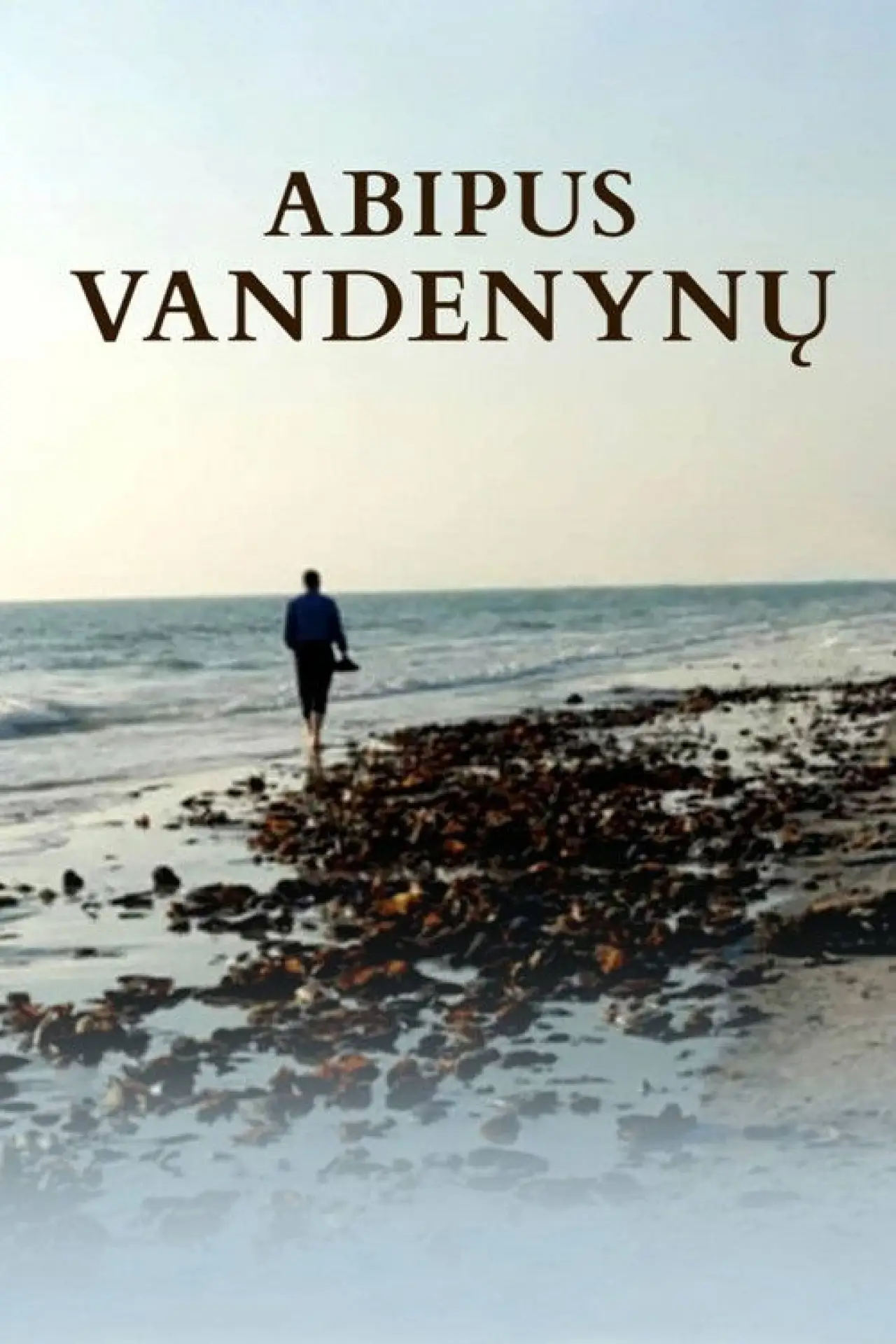 Movie poster "Abipus vandenynų"