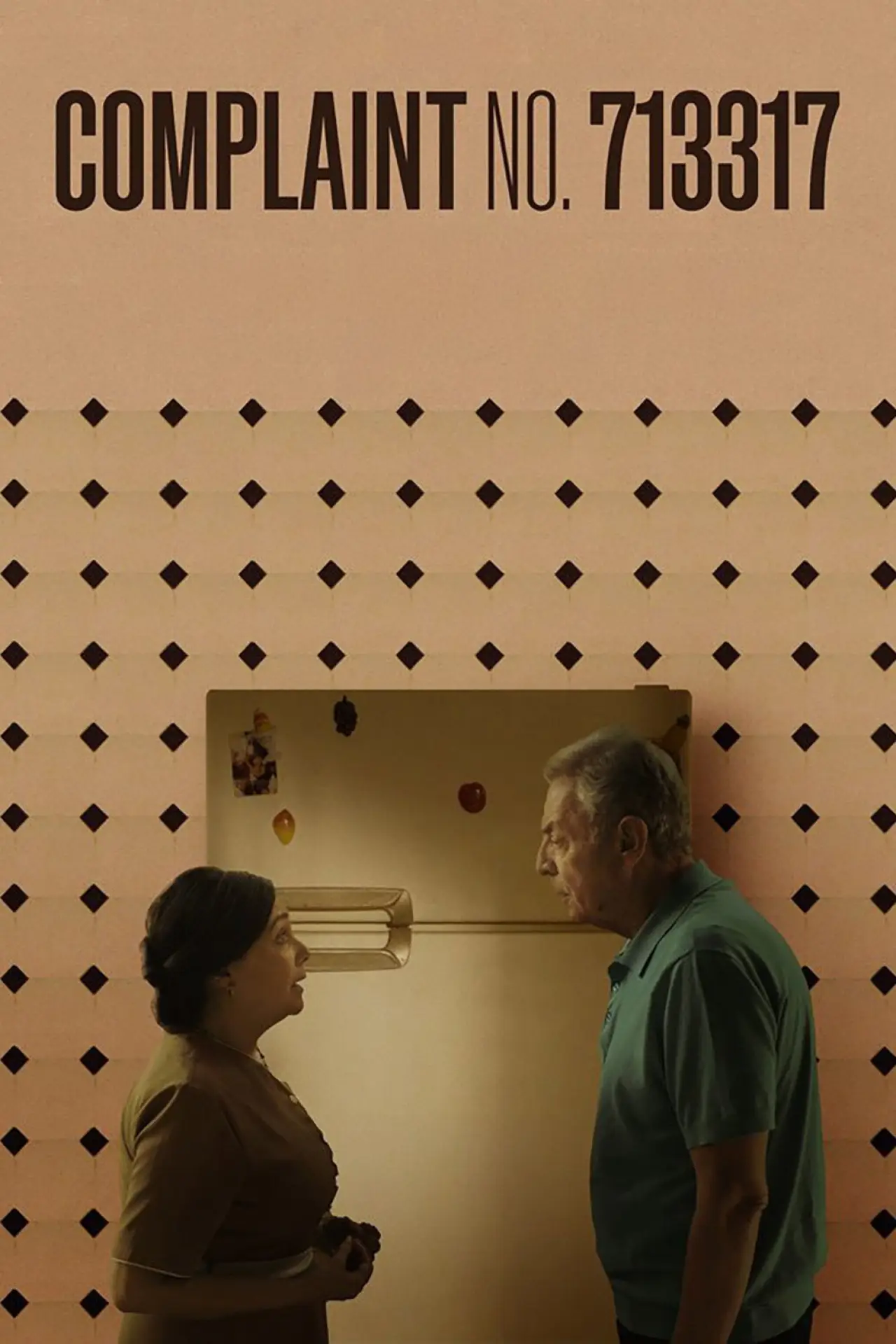 Movie poster "Complaint No. 713317"
