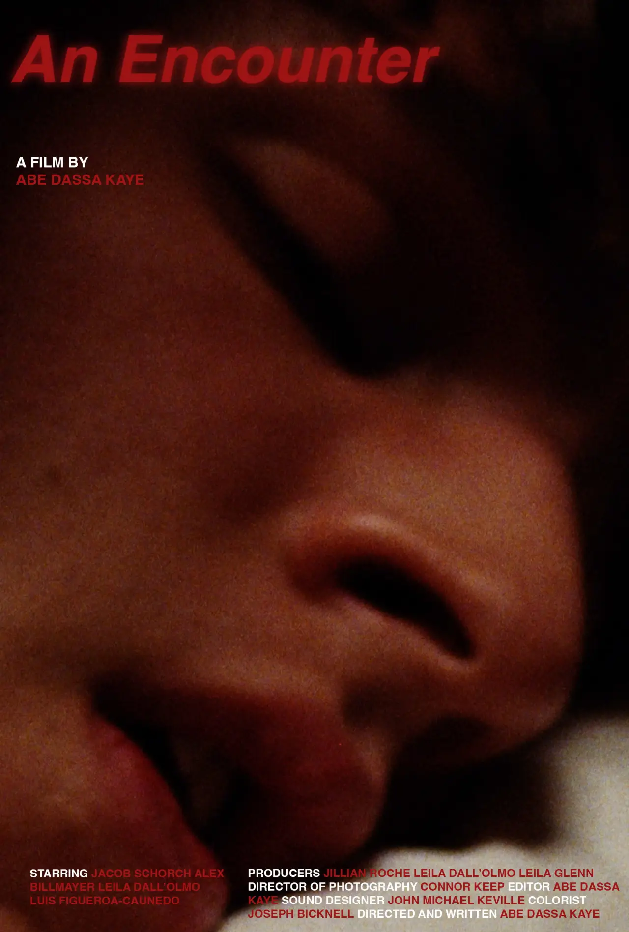 Movie poster "An Encounter"