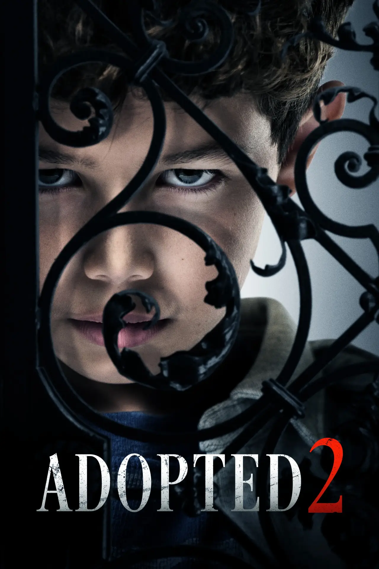 Movie poster "Adopted 2"