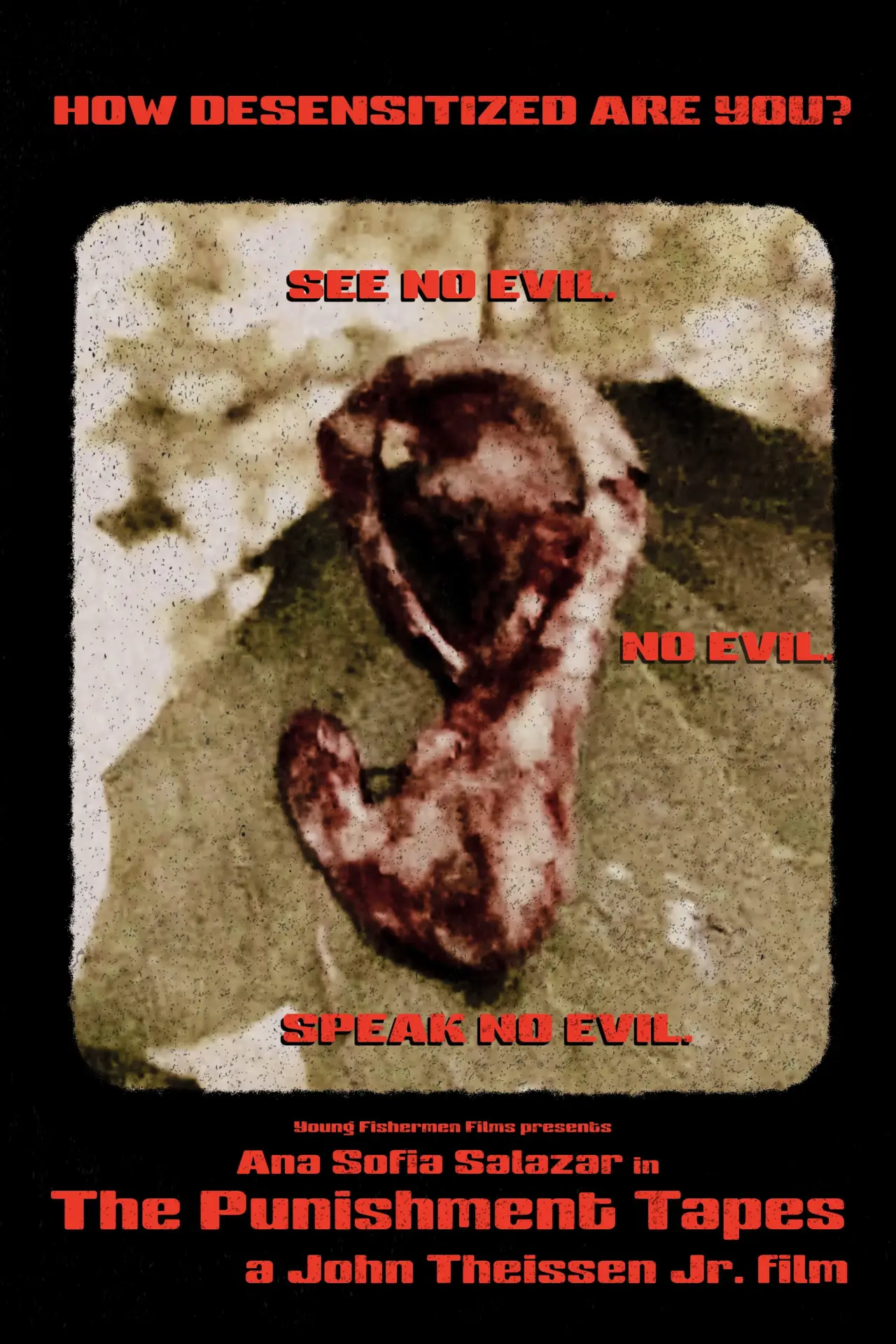 Movie poster "The Punishment Tapes"
