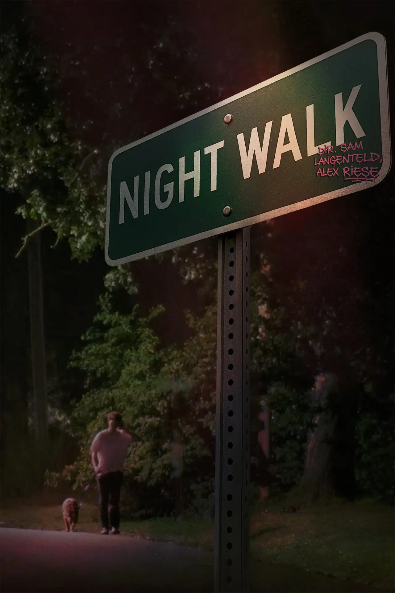 Movie poster "Night Walk"