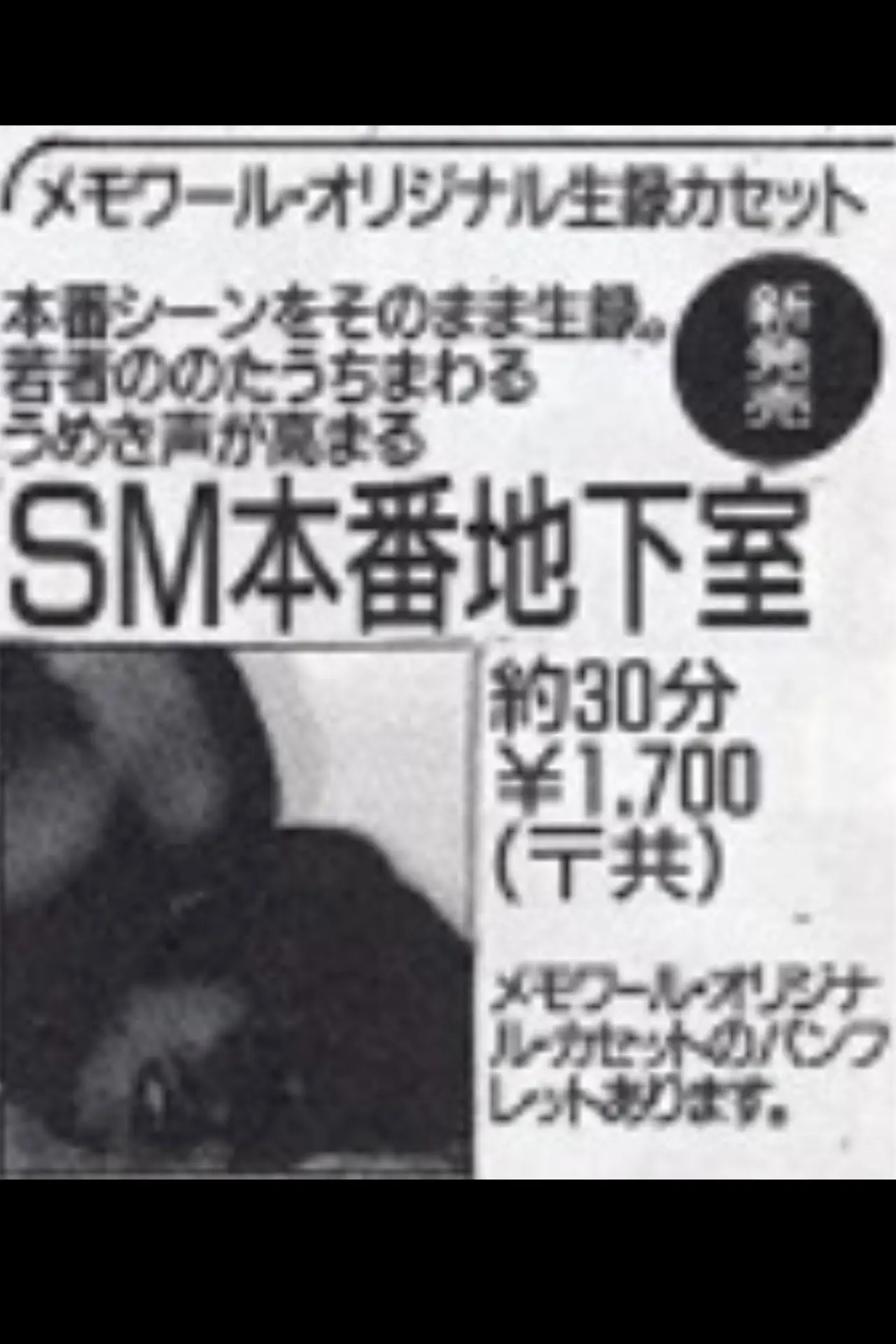 Movie poster "SM Basement"