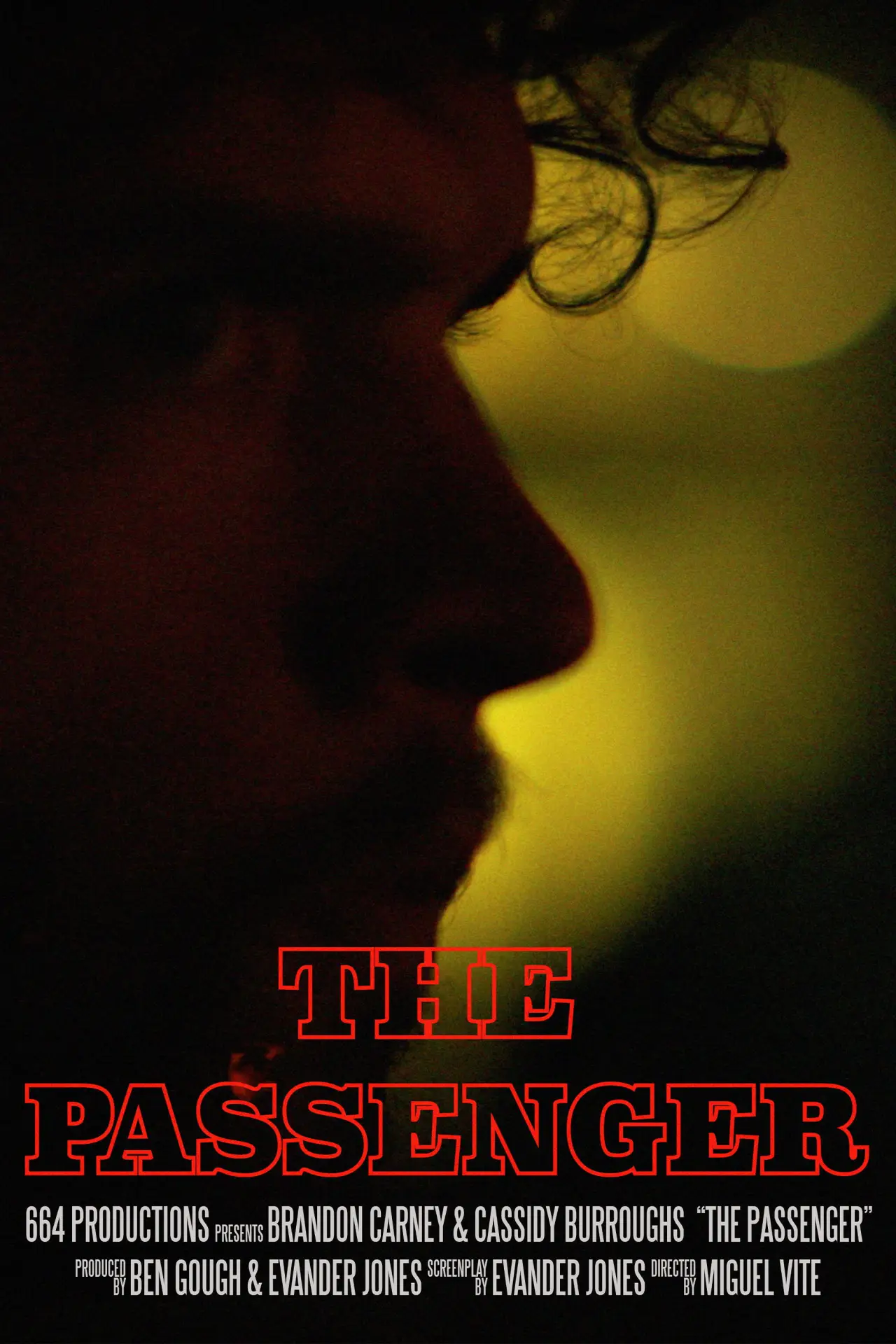 Movie poster "The Passenger"