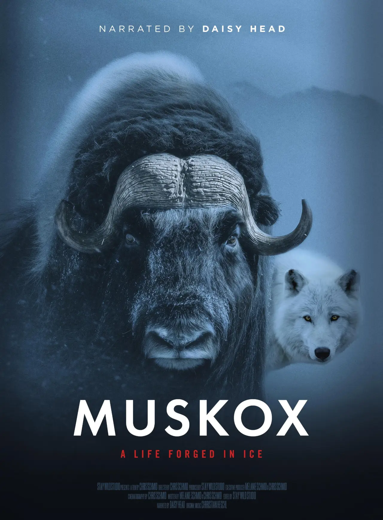 Movie poster "Muskox"
