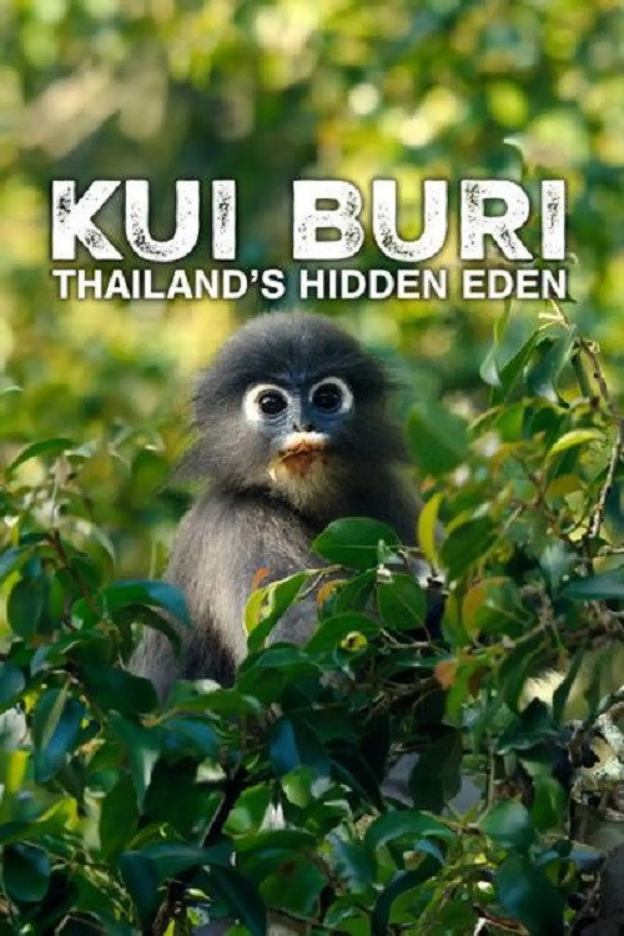 Movie poster "Kui Buri: Thailand