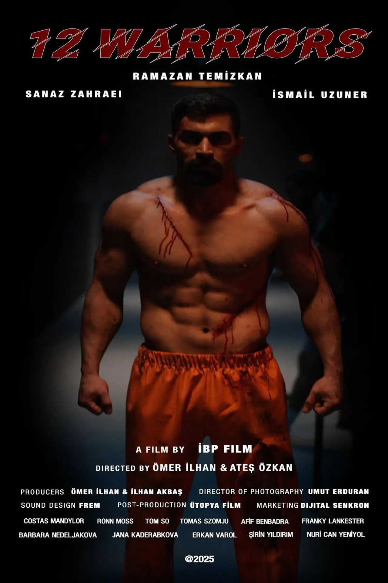 Movie poster "12 Warriors"