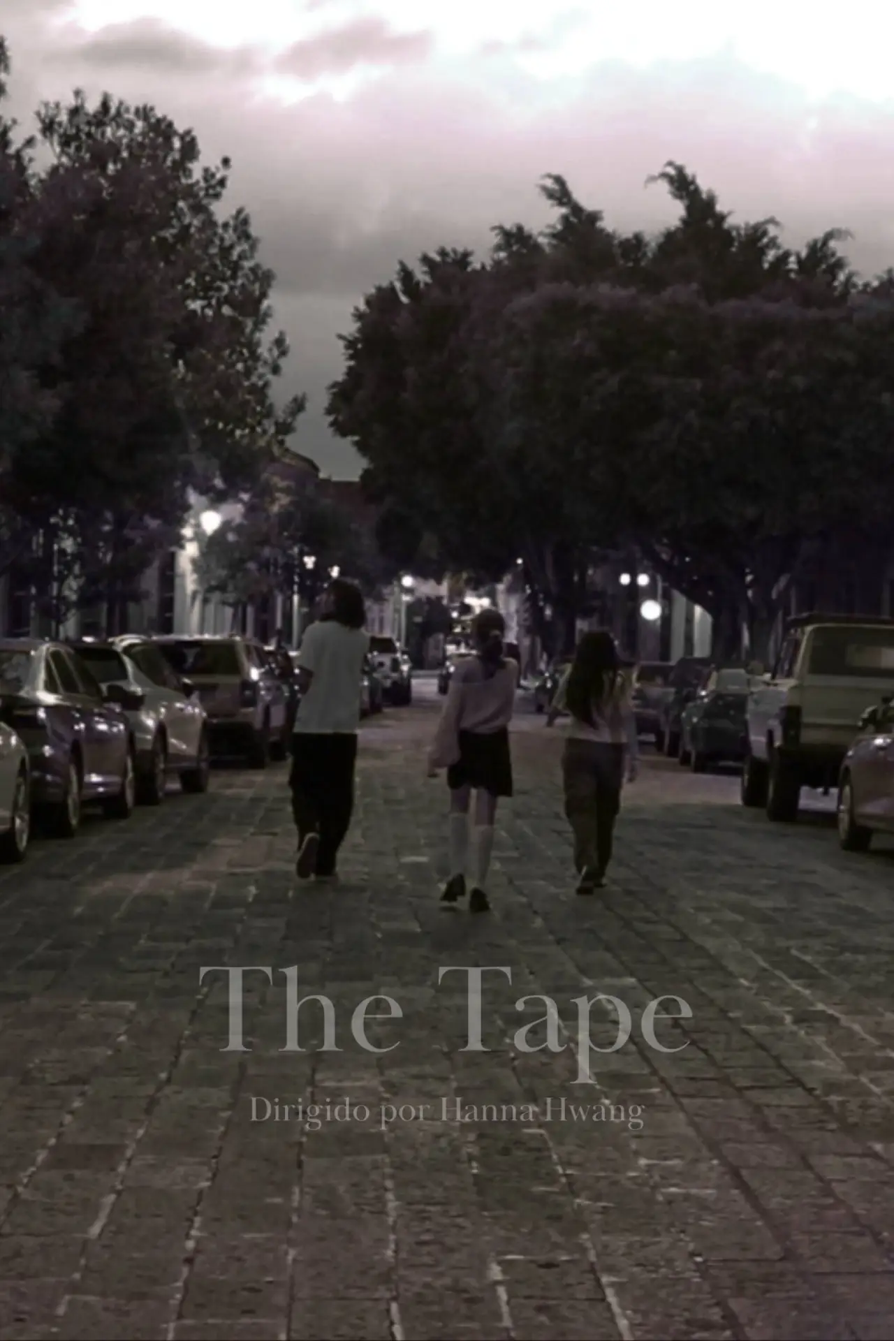 Movie poster "The Tape"
