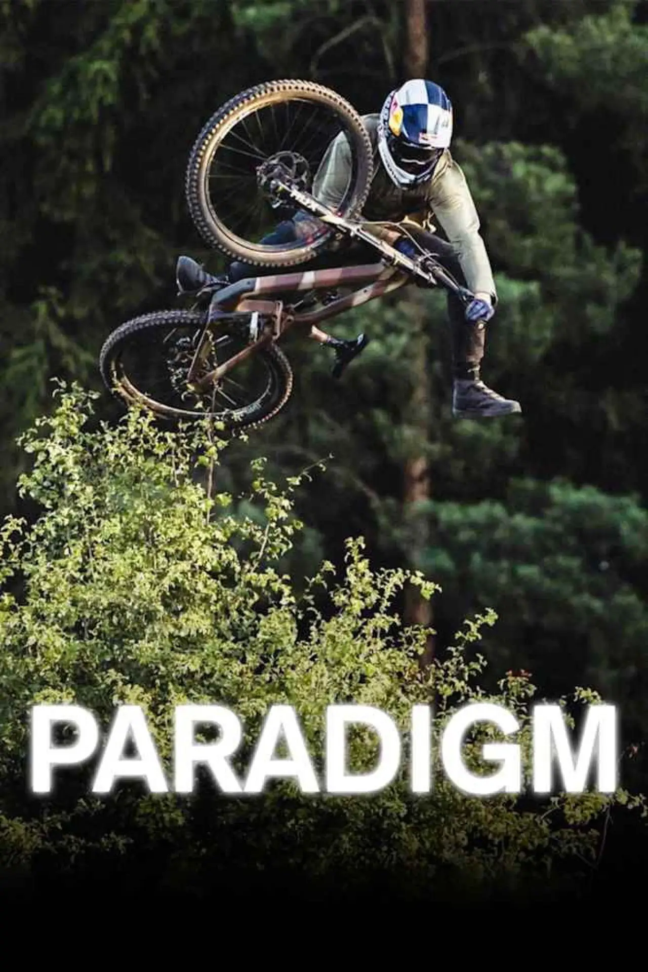 Movie poster "Paradigm"