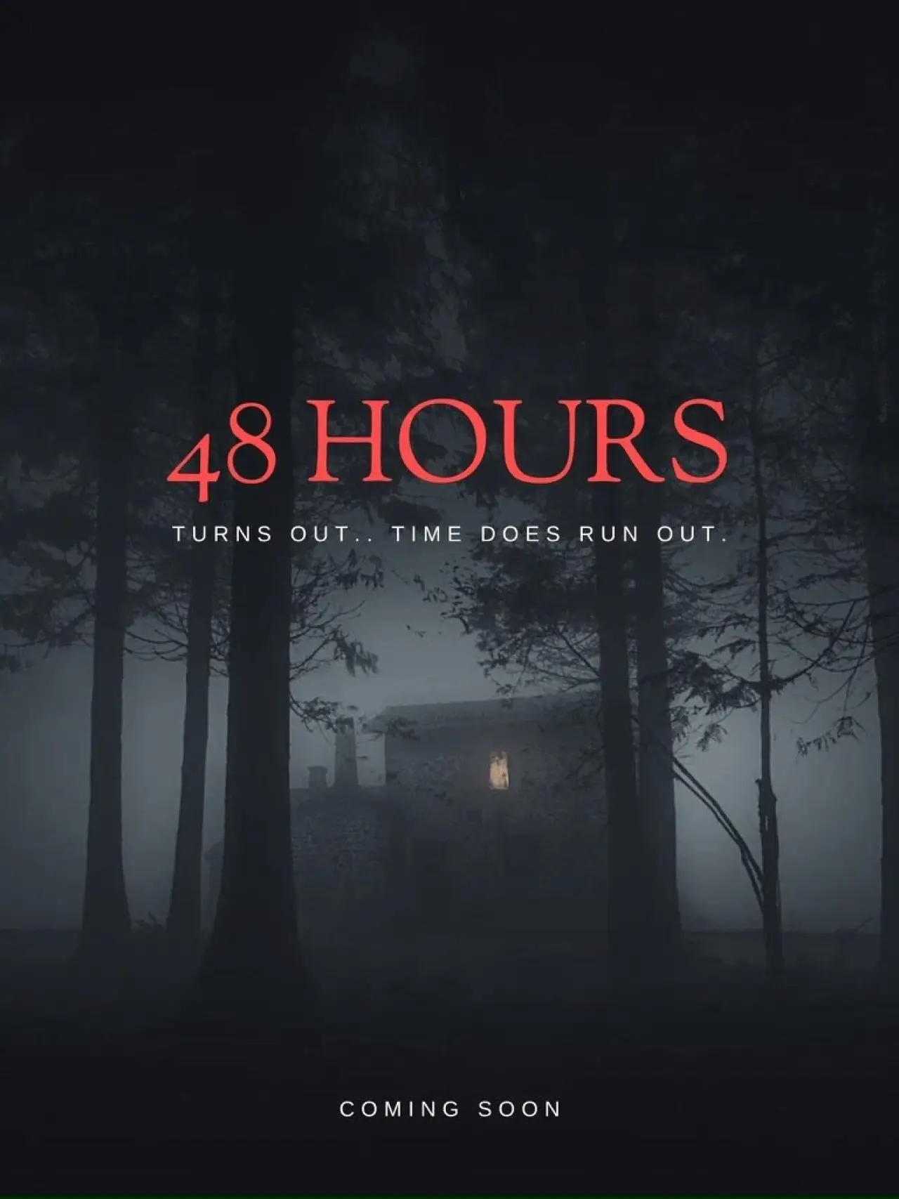 Movie poster "48 Hours"