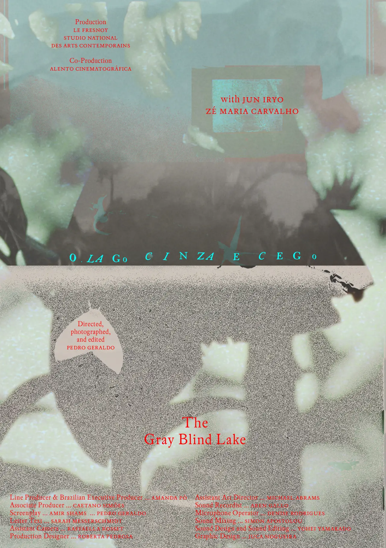 Movie poster "The Gray Blind Lake"