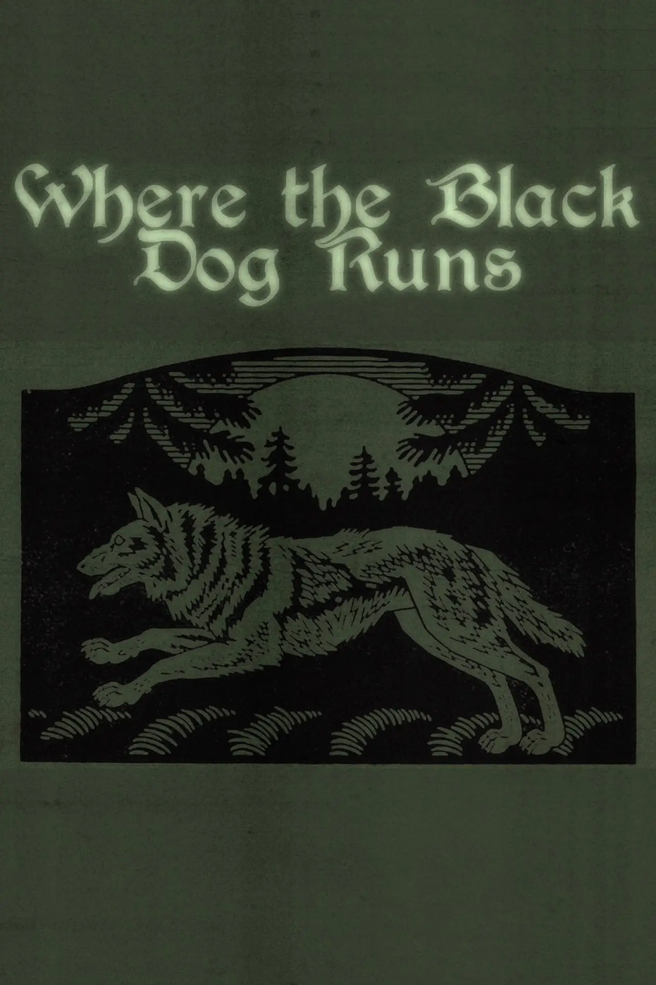 Movie poster "Where the Black Dog Runs"