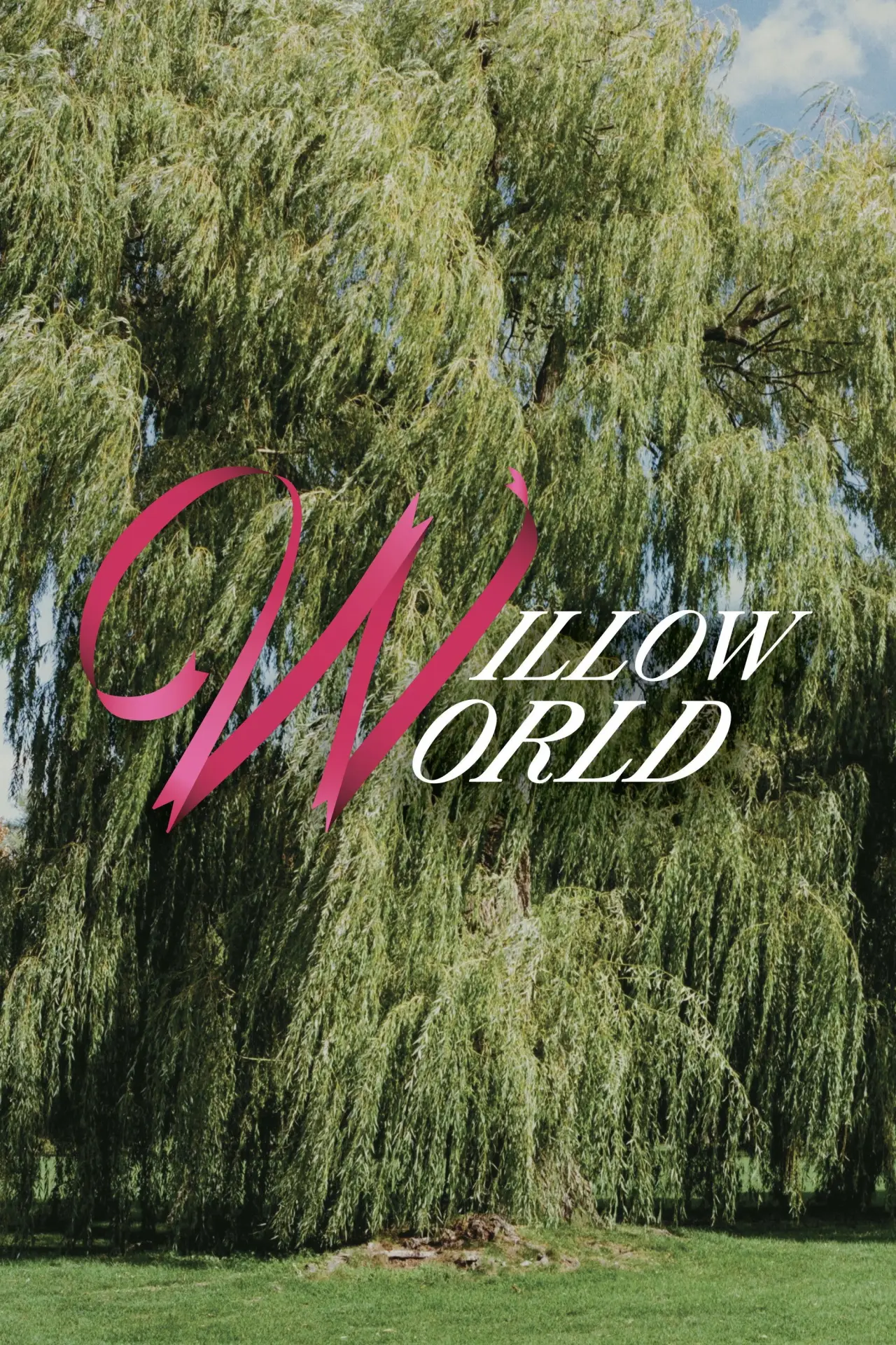 Movie poster "Willow World"