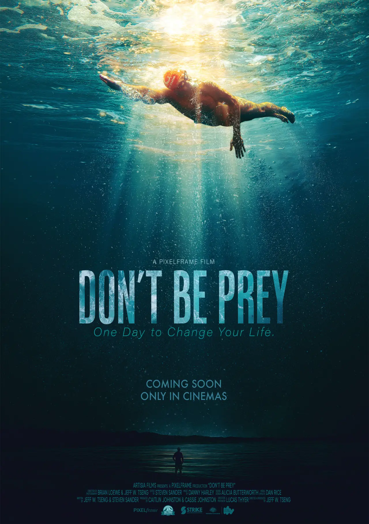 Movie poster "Don